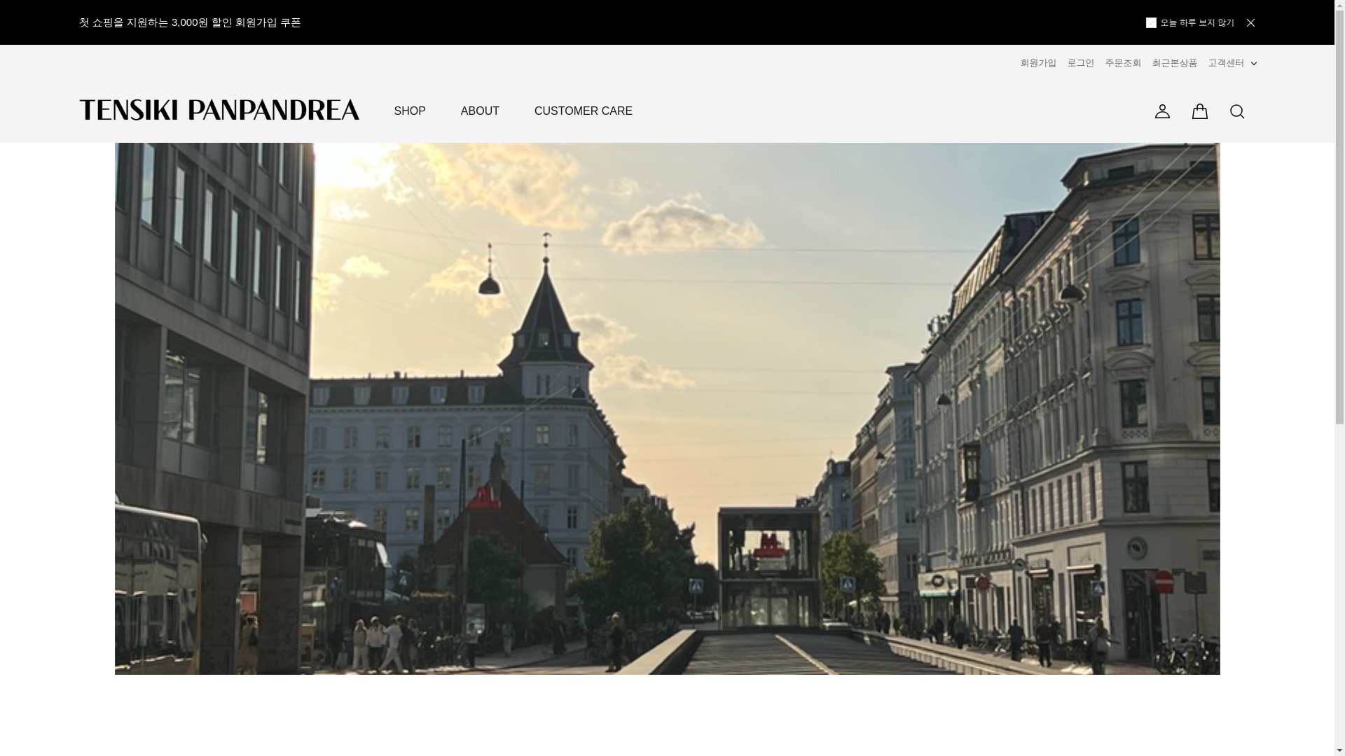 website screenshot of https://tensikipanpandrea.com/