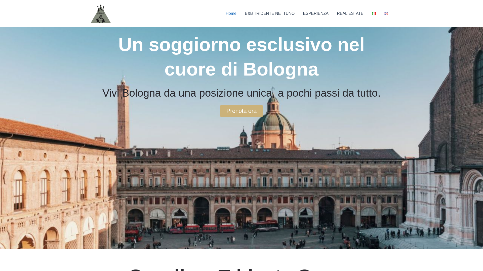 website screenshot of https://tridentedomus.it/