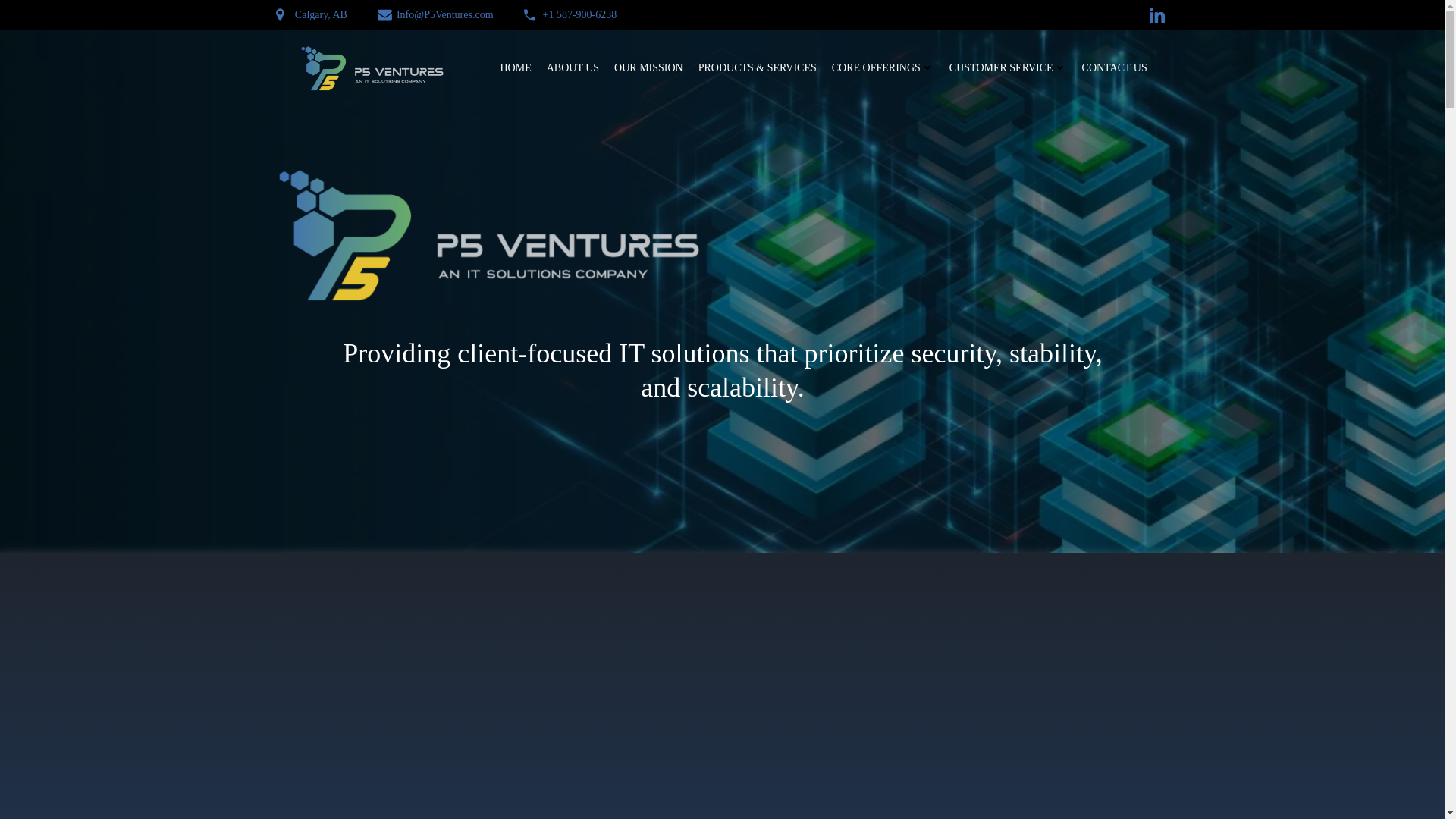 website screenshot of https://p5ventures.com/