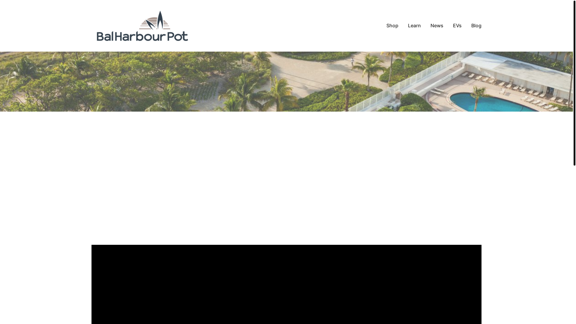 website screenshot of https://balharbourpot-com.pages.dev/