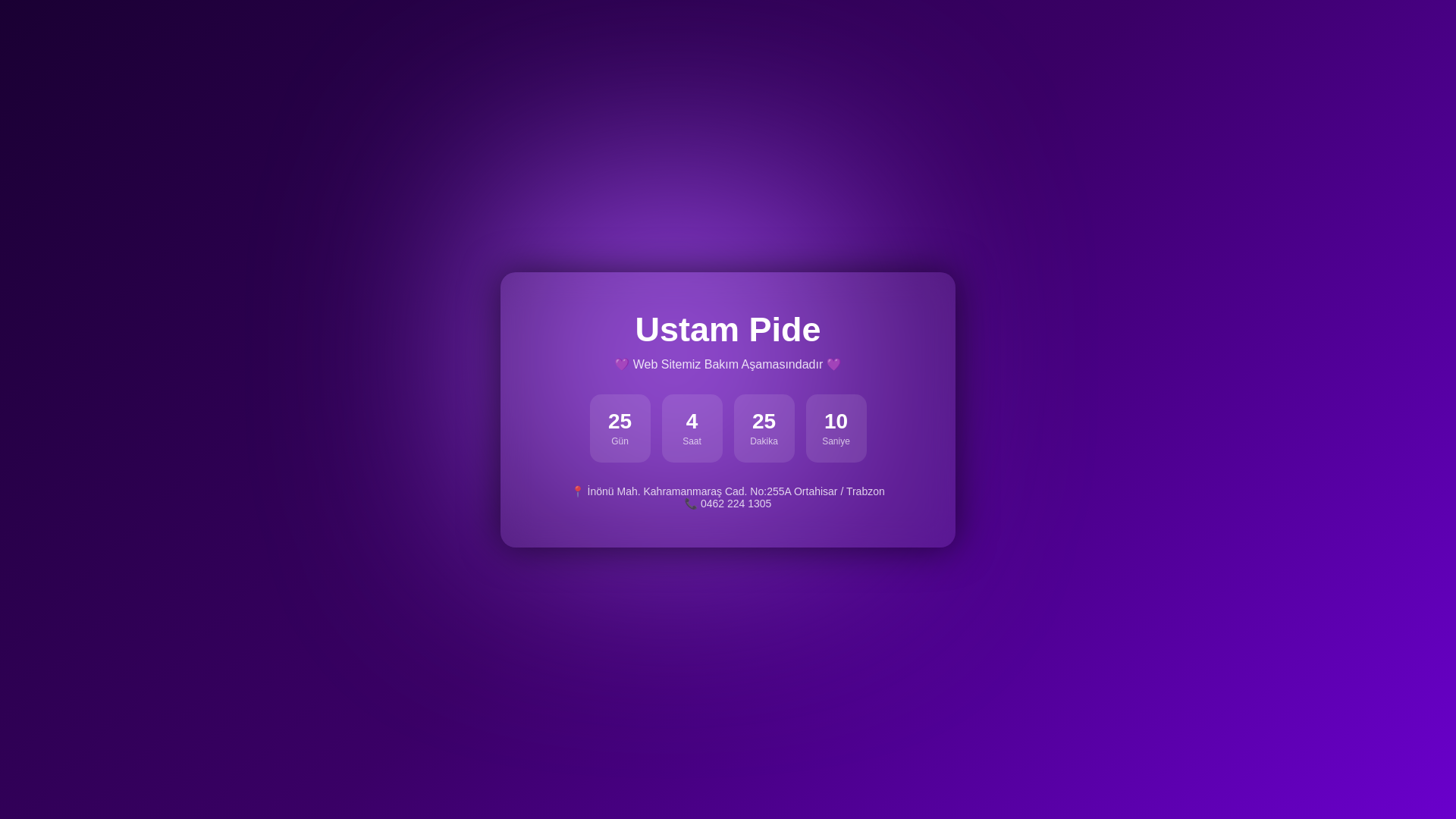 website screenshot of https://ustampide.com.tr/