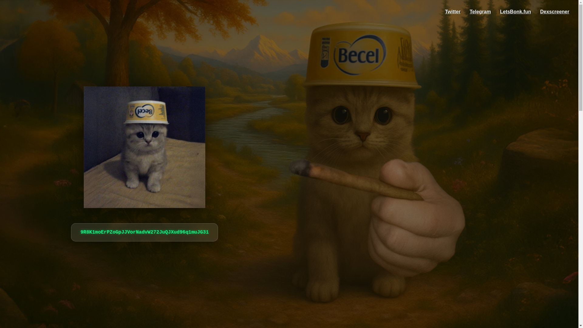 website screenshot of https://becelcat.online/