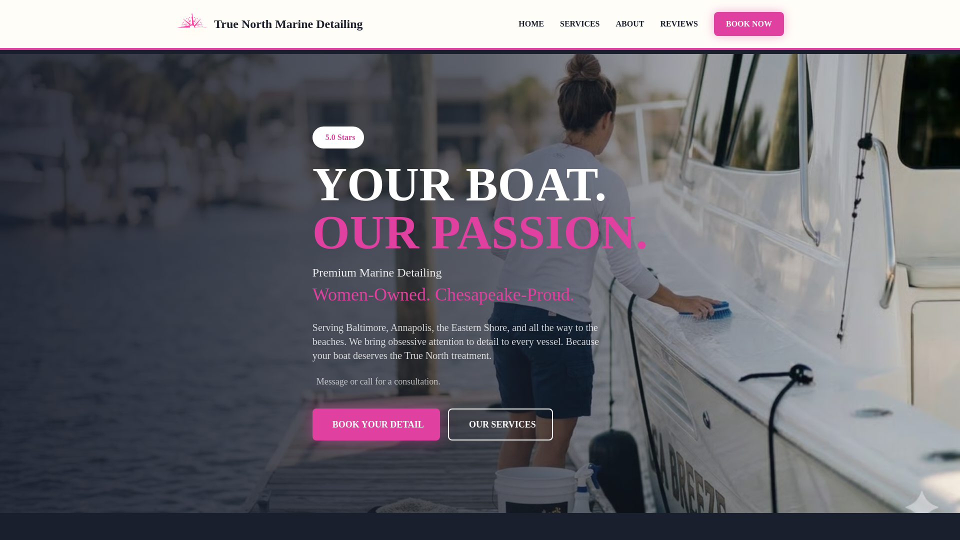 website screenshot of https://truenorthmarinedetailing.com
