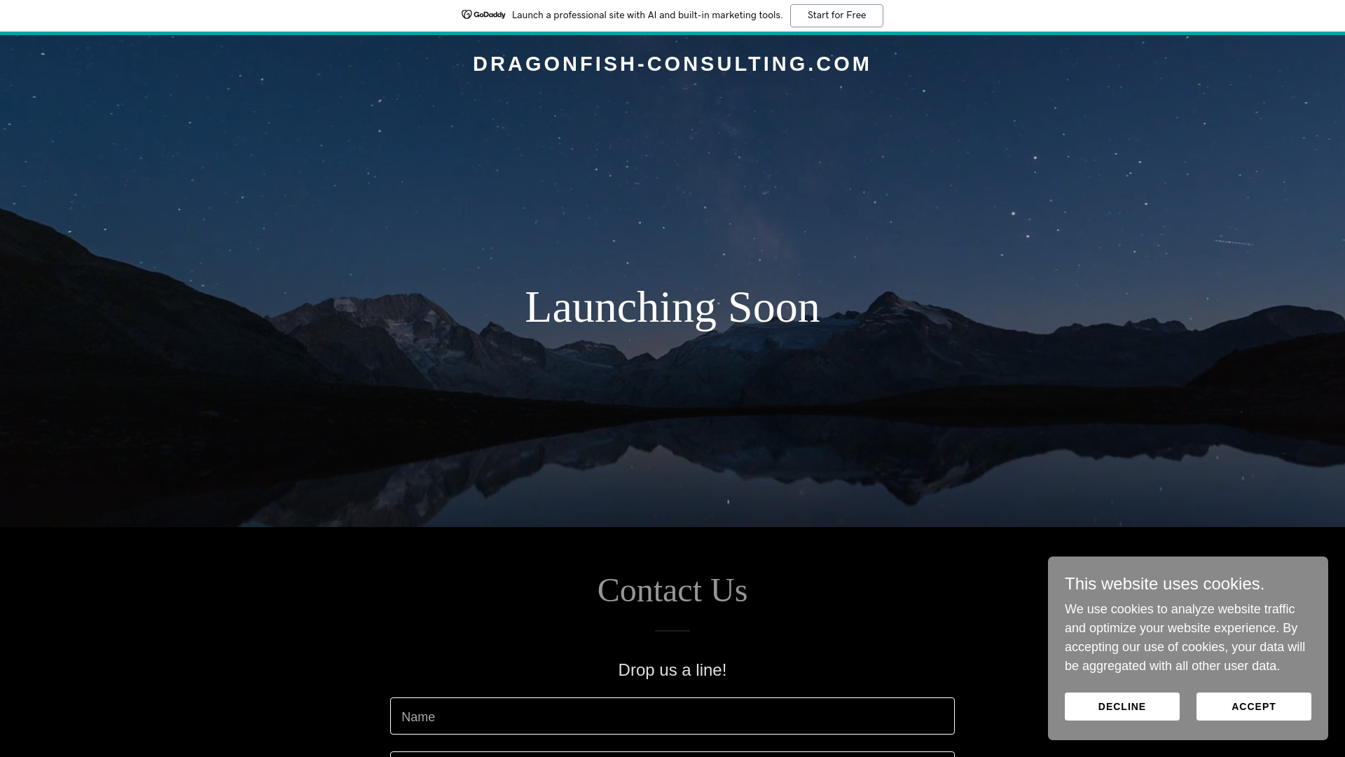 website screenshot of https://dragonfish-consulting.com/