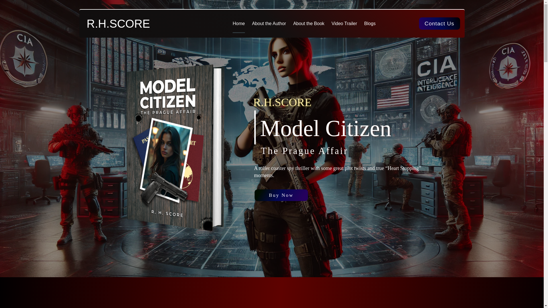 website screenshot of https://modelcitizen-book.com/