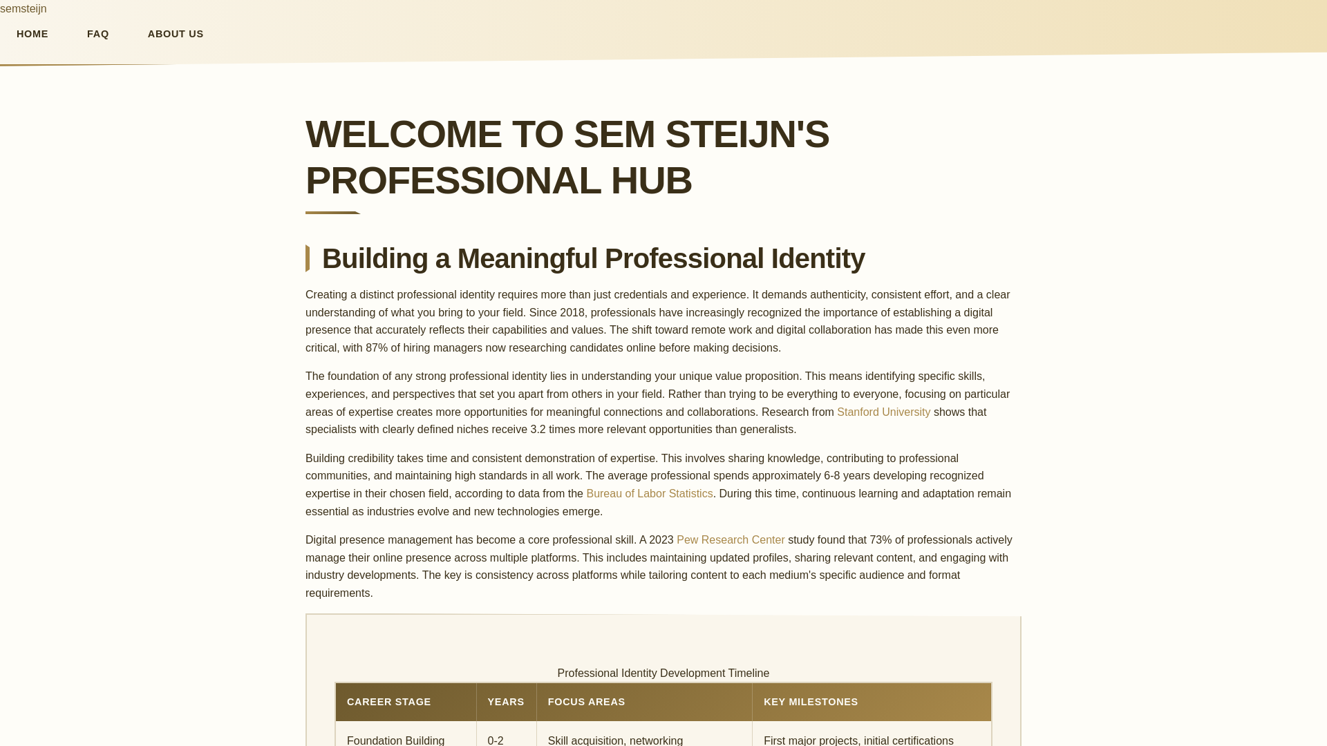 website screenshot of https://semsteijn-xyz.pages.dev/