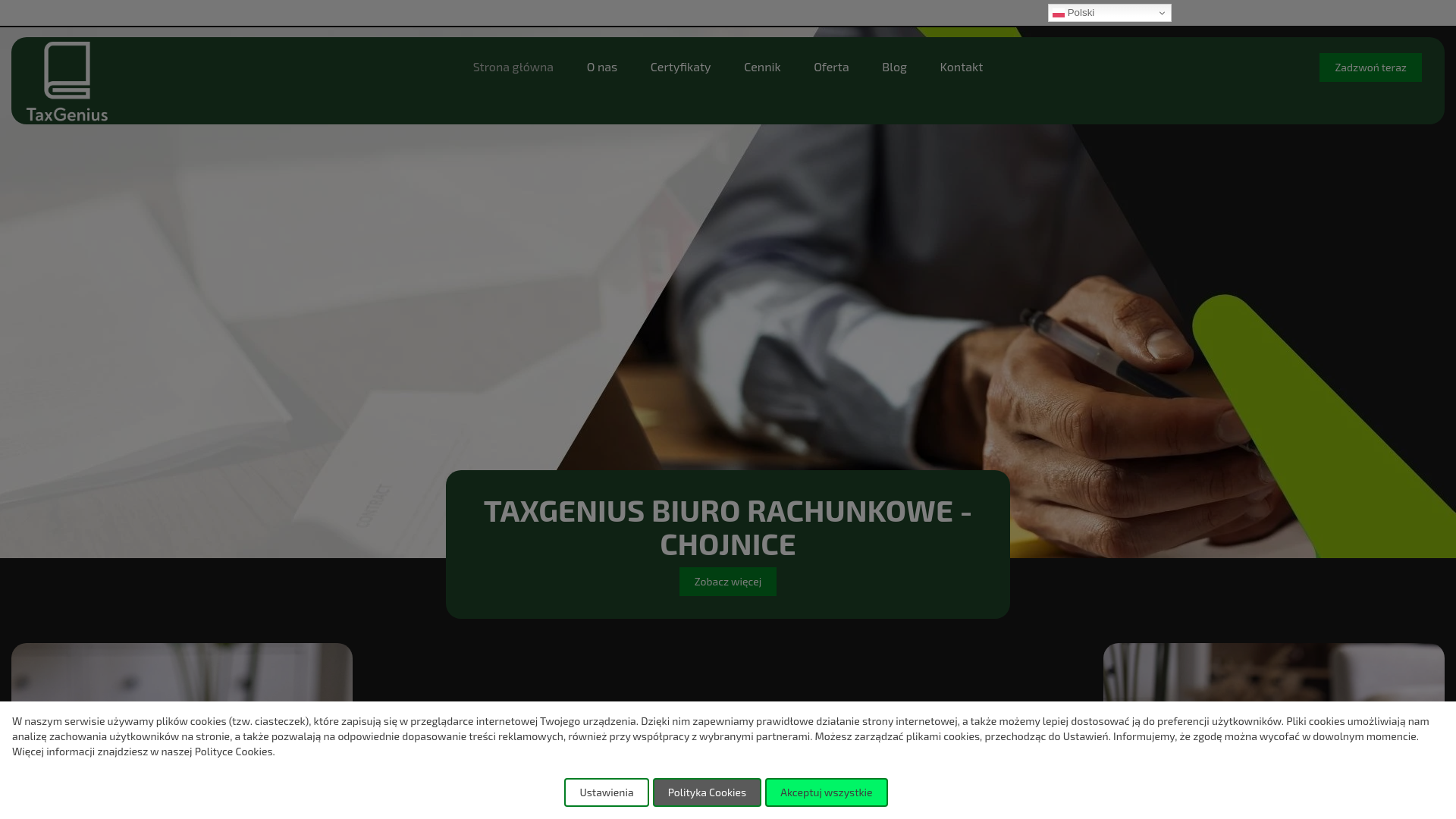 website screenshot of https://taxgenius.com.pl/
