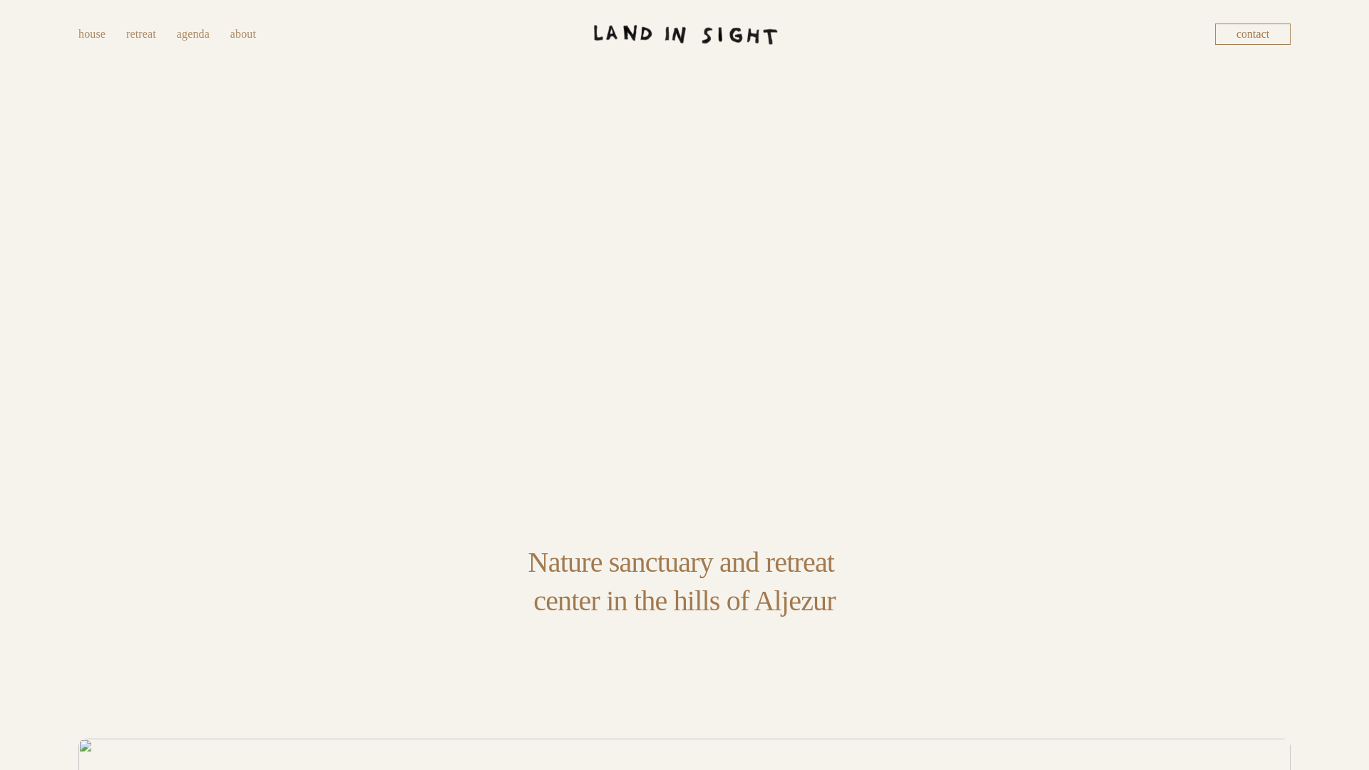 website screenshot of https://landinsight.pt/