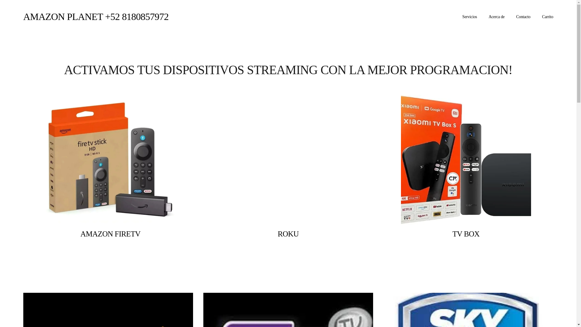website screenshot of https://amazonplanet528180857972.org/