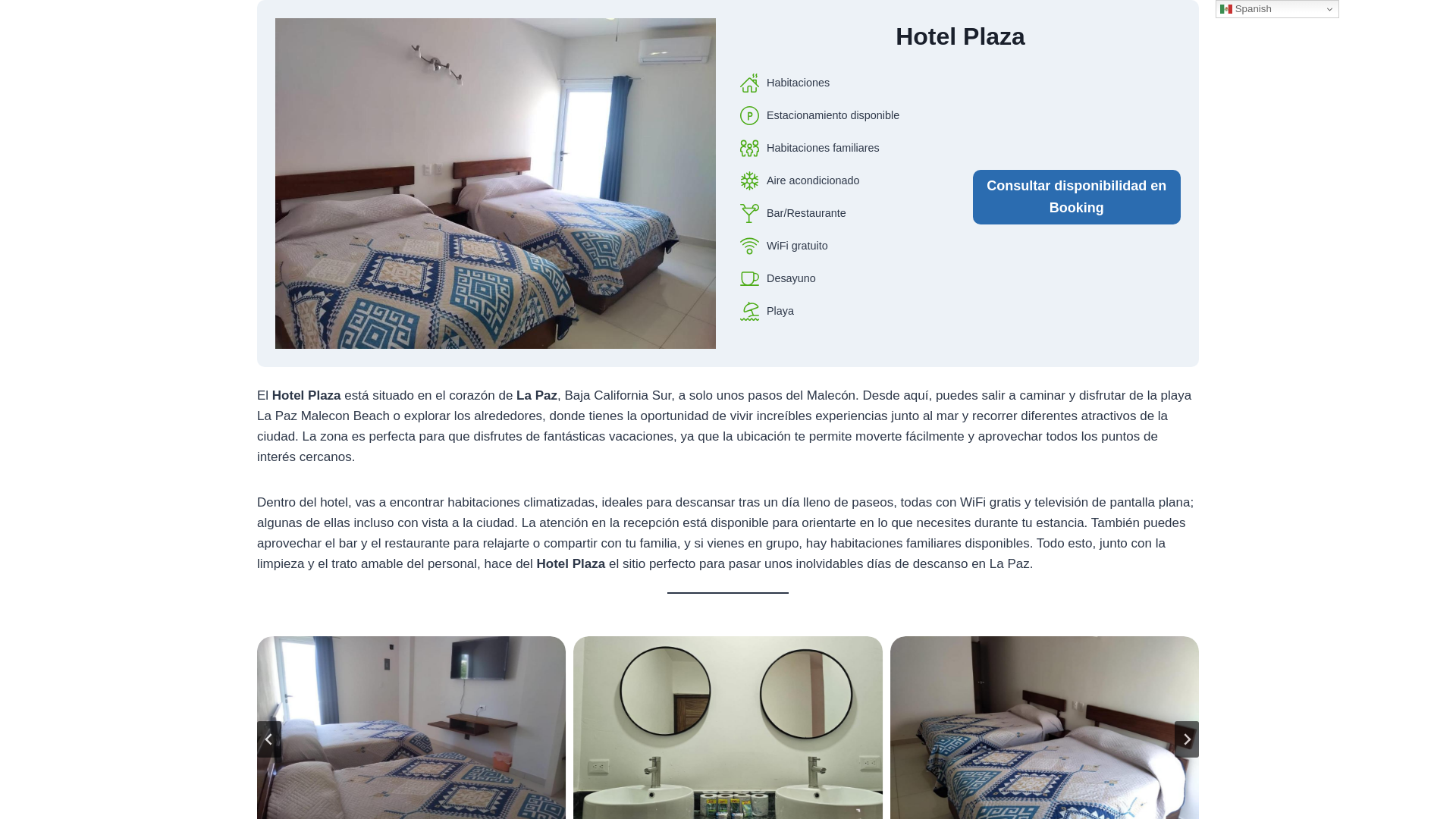 website screenshot of https://hotelplazaboulevard.top
