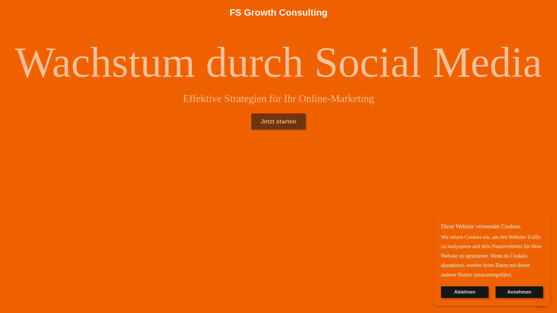 website screenshot of https://fsgrowthconsulting.com/