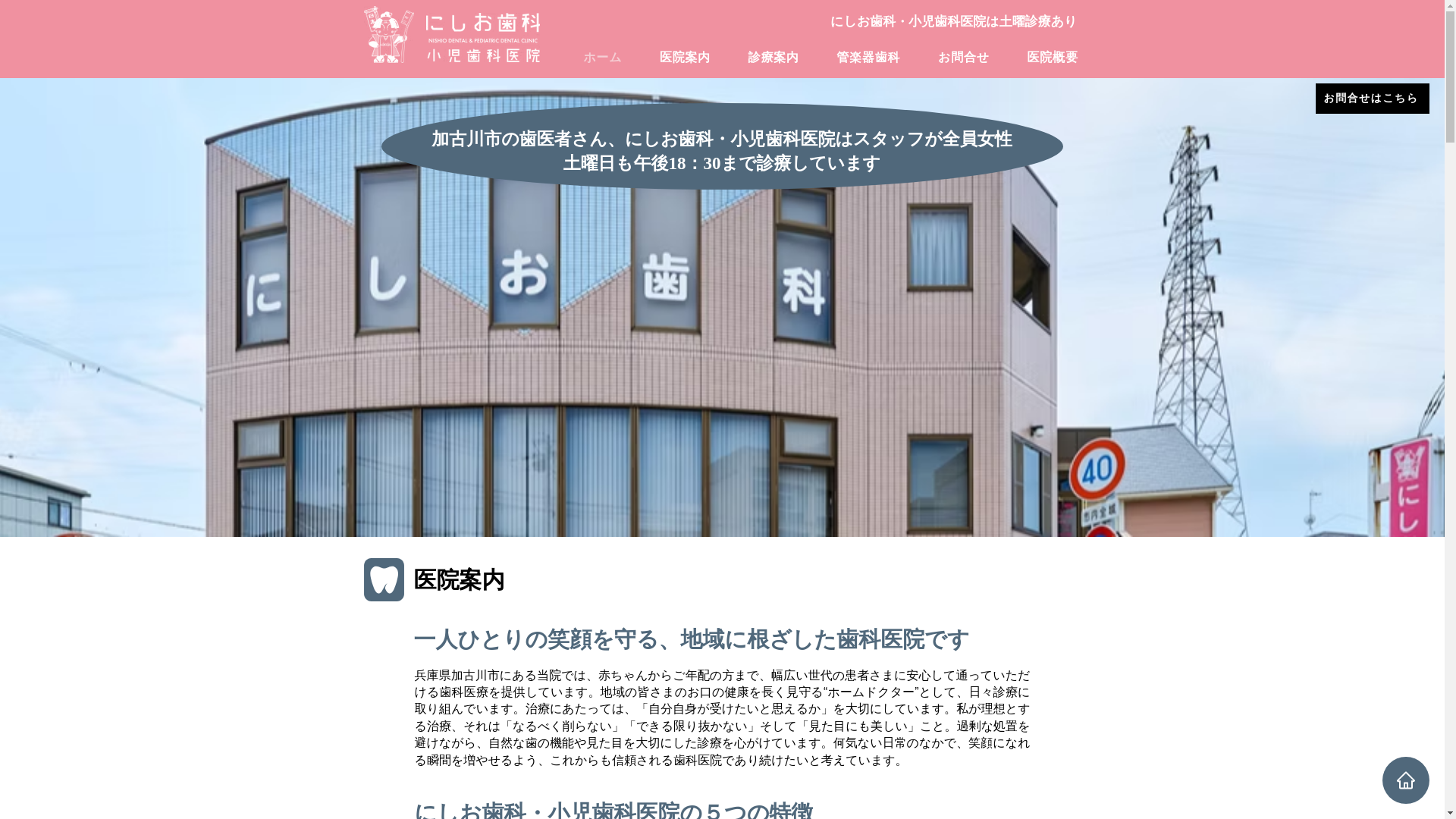 website screenshot of https://kakogawa-nishio-dc.com/