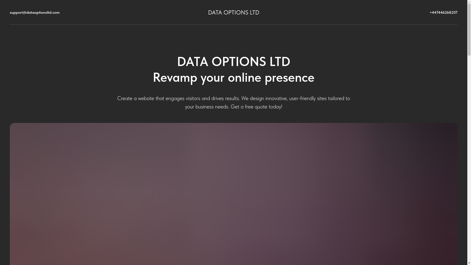 website screenshot of https://dataoptionsltd.com/