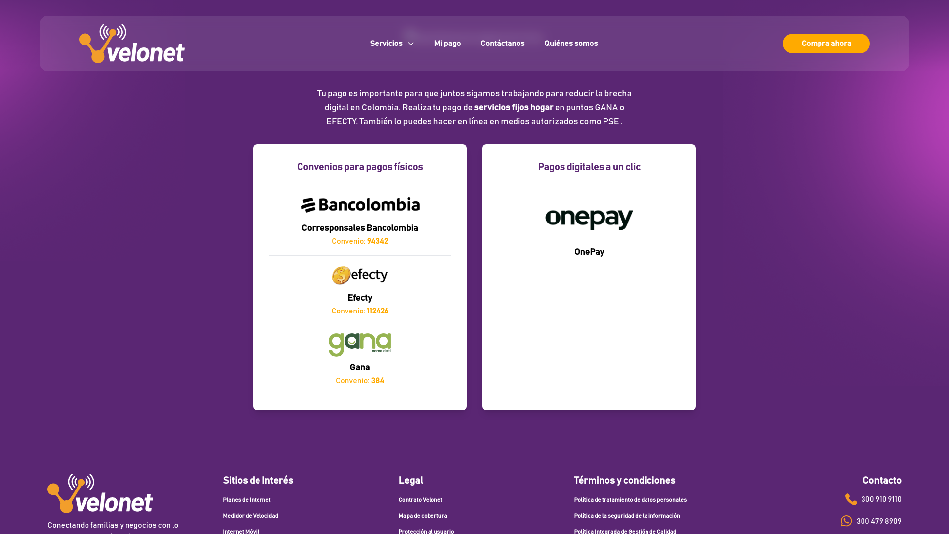 website screenshot of https://velonet.co/mi-pago