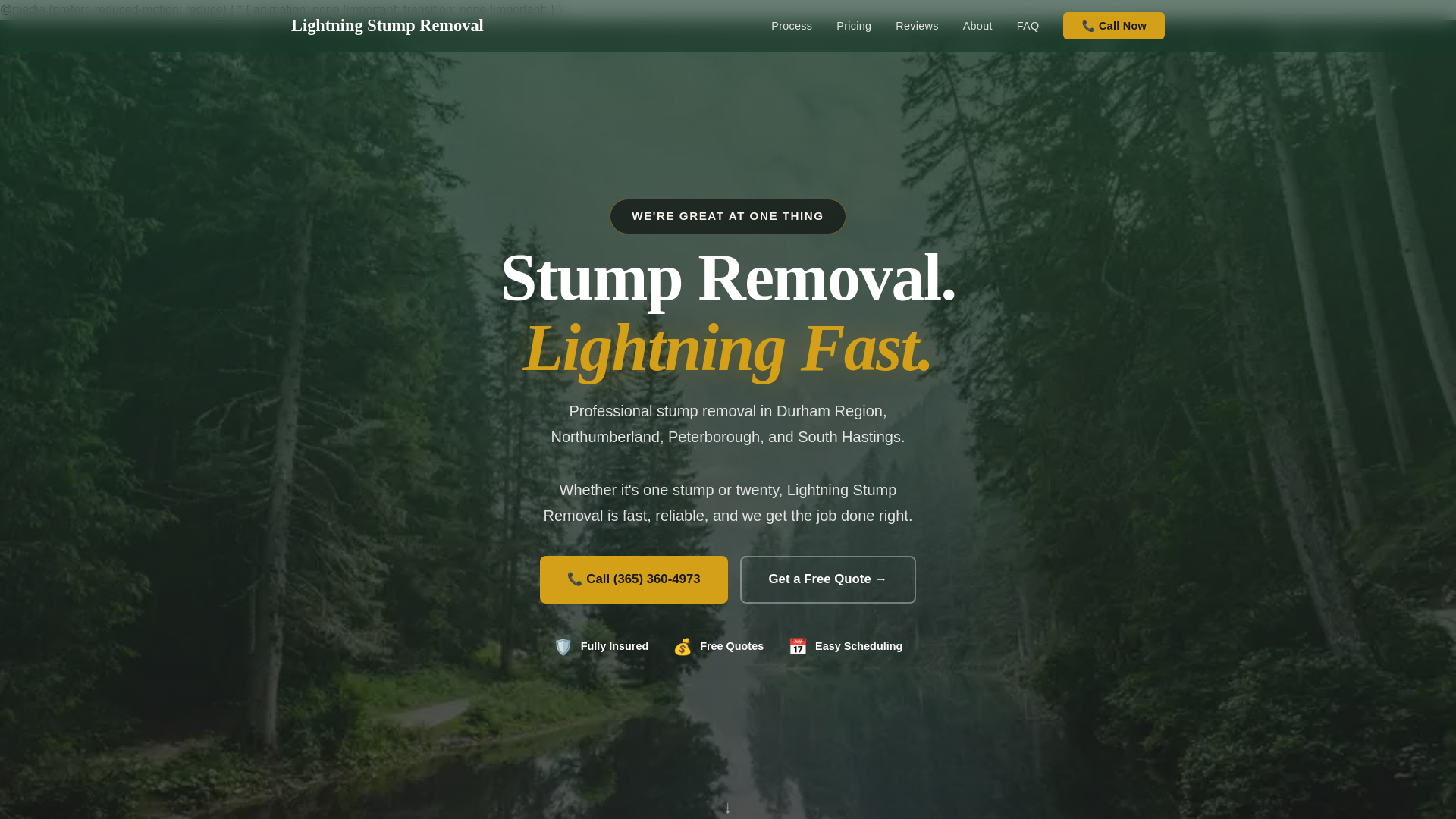 website screenshot of https://lightningstumps.ca