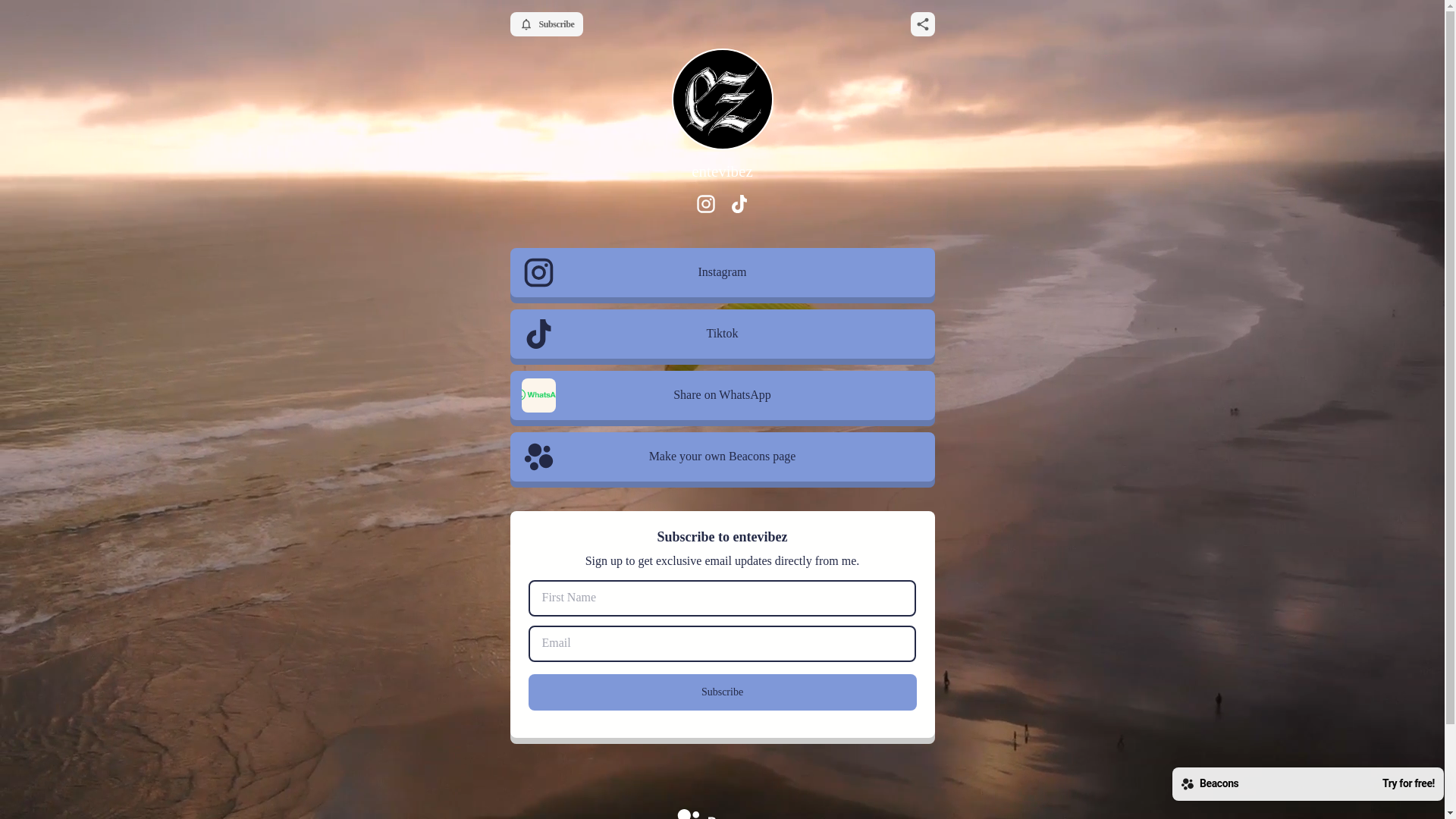 website screenshot of https://entevibez.com/