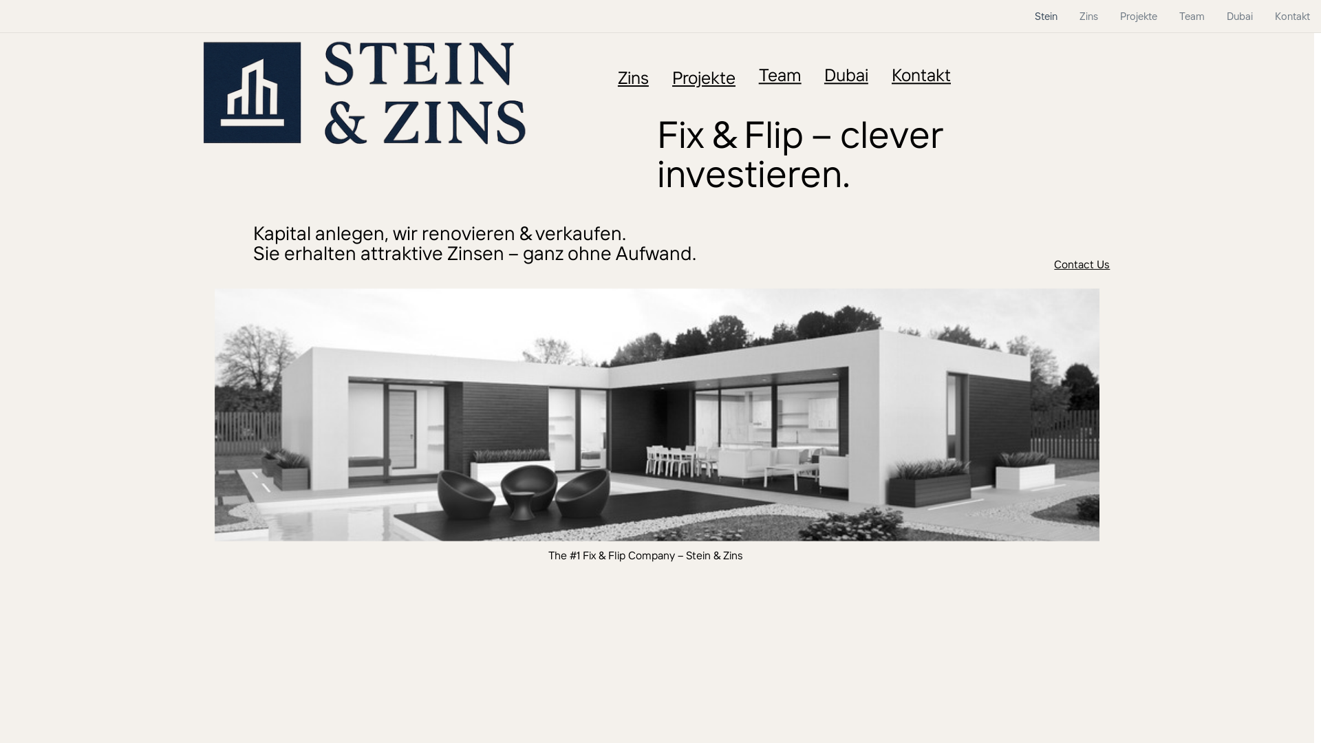 website screenshot of https://steinundzins.com/