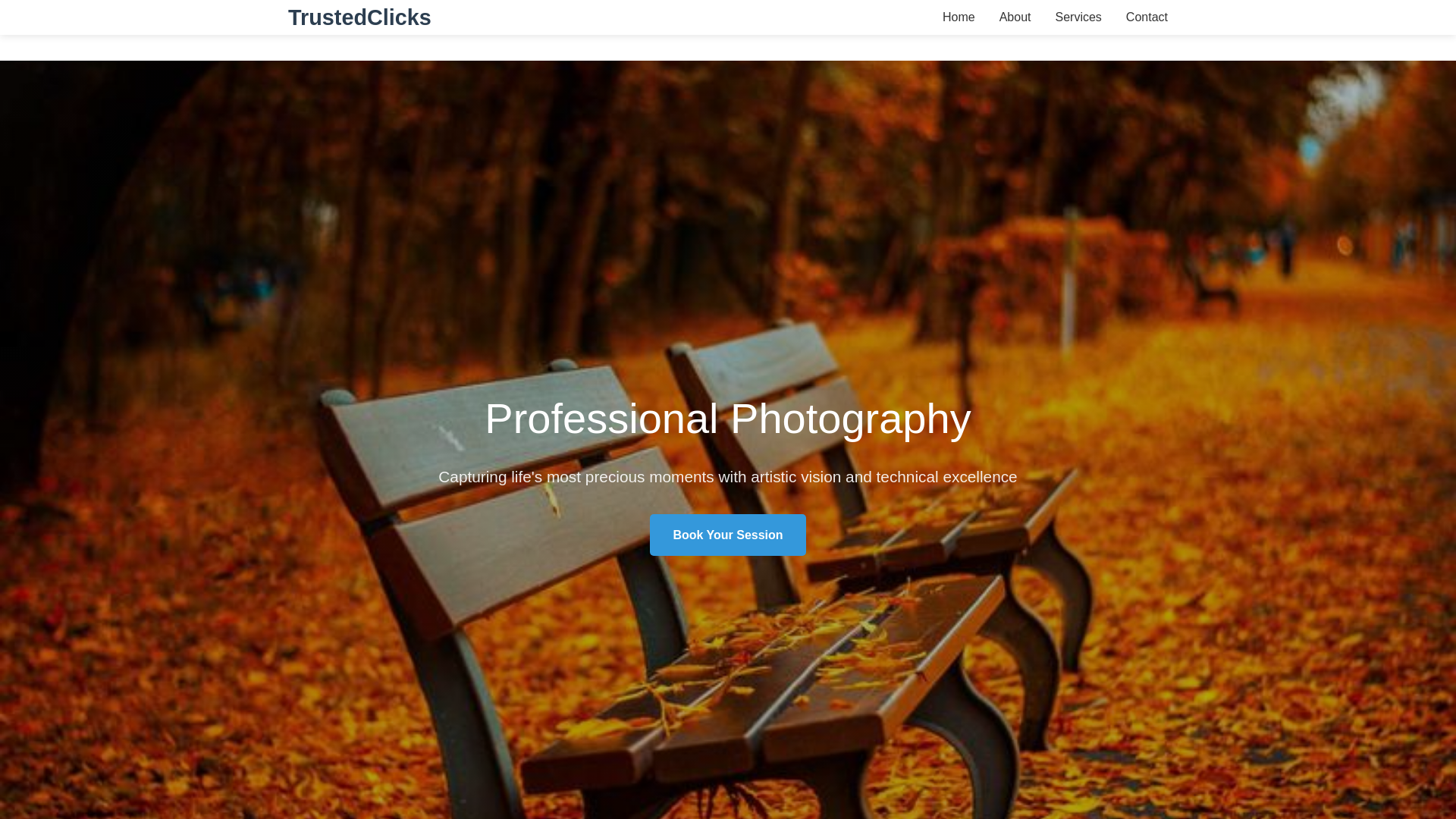 website screenshot of https://trustedclicks.xyz/