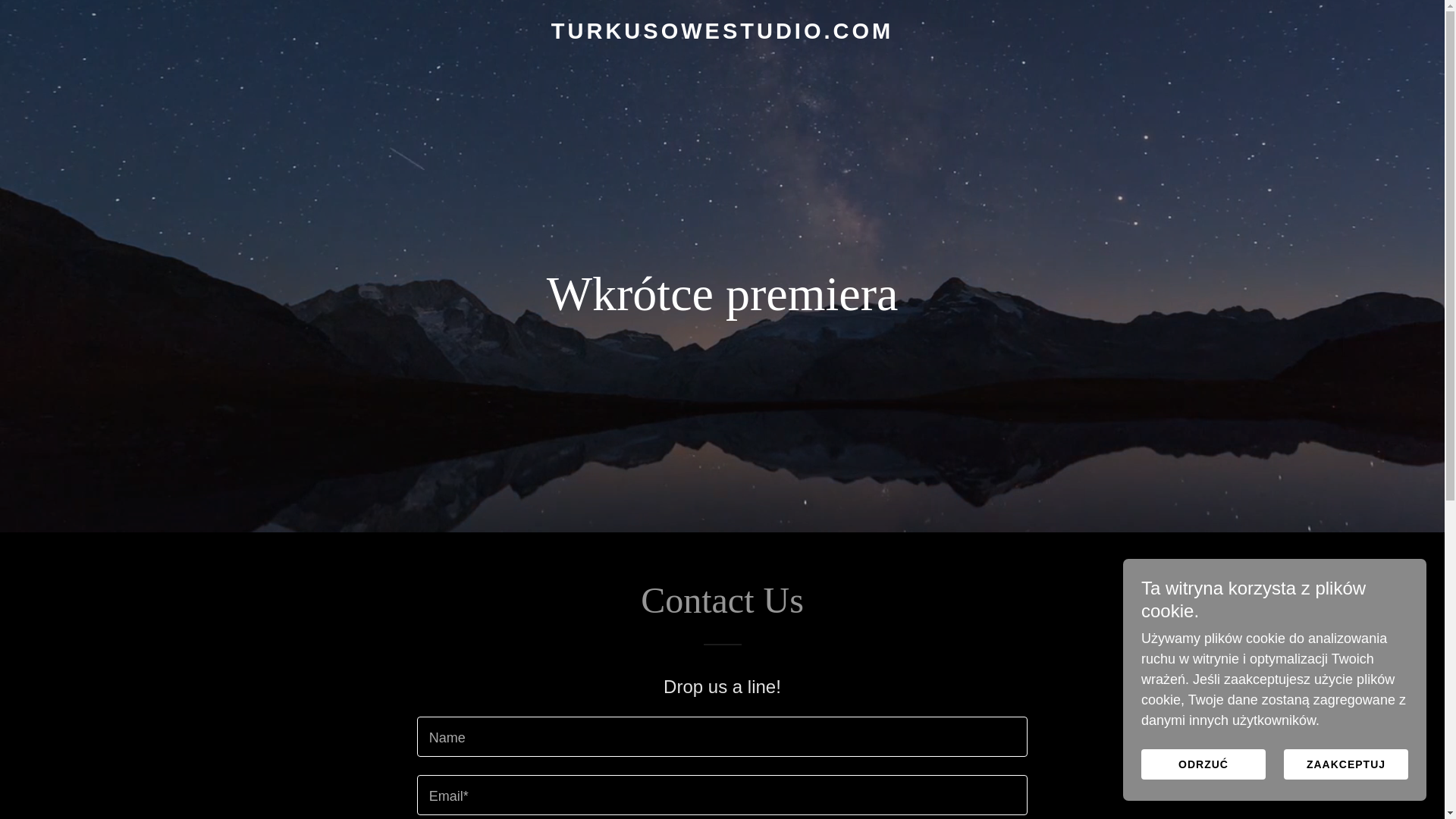 website screenshot of https://turkusowestudio.com/