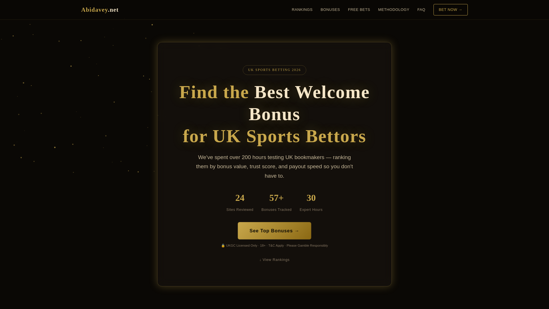 website screenshot of https://abidavey-net.pages.dev/