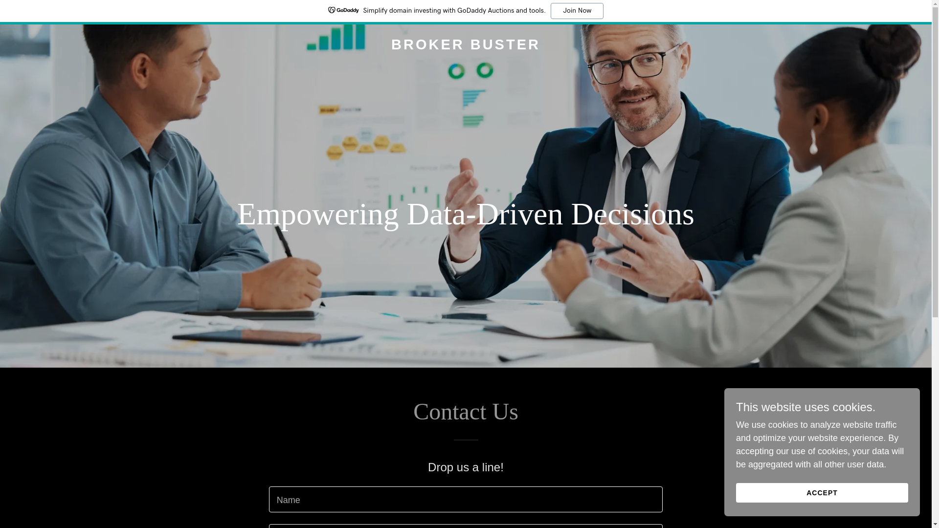 website screenshot of https://brokerbuster.online/