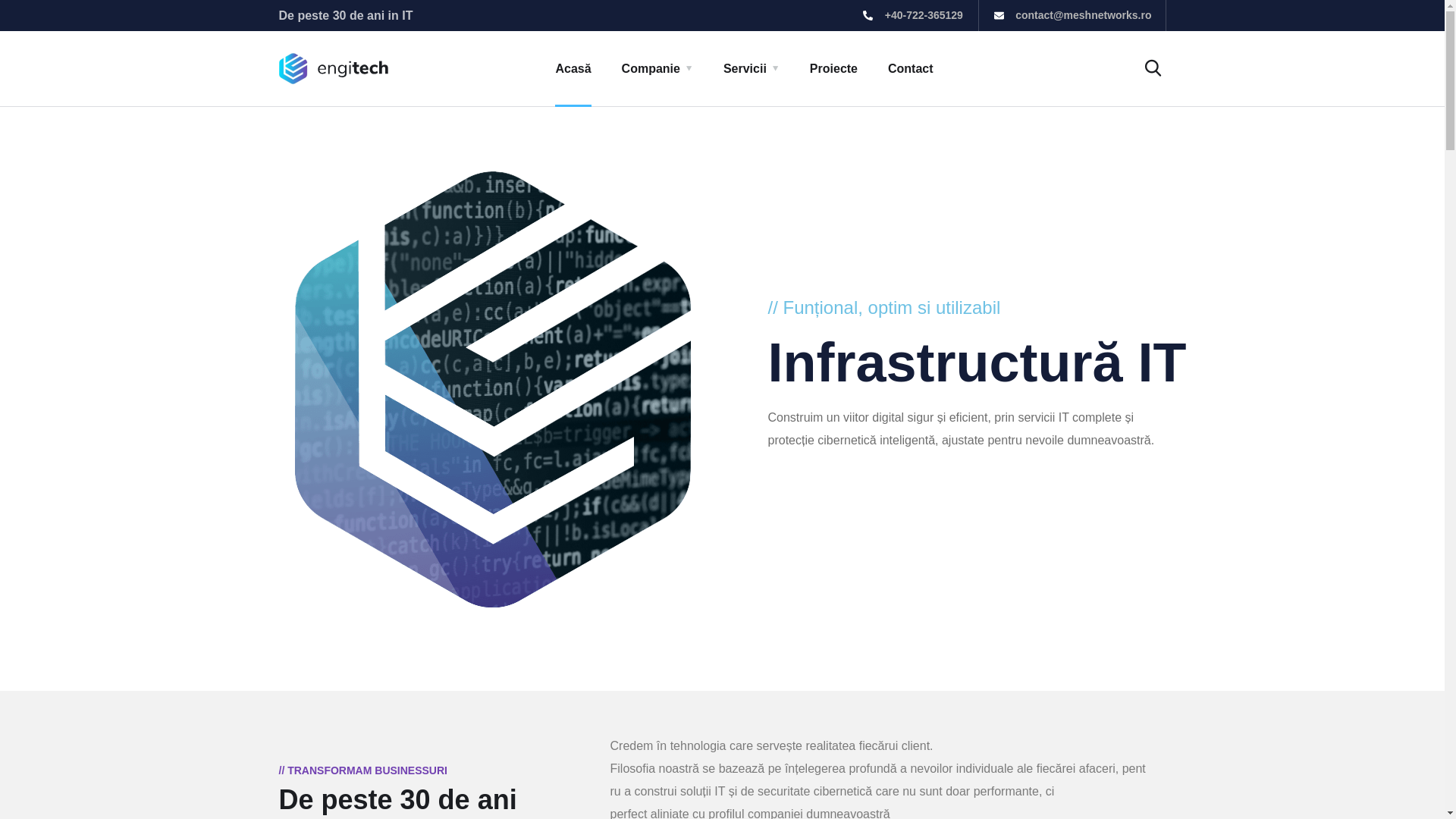 website screenshot of https://meshnet.ro/