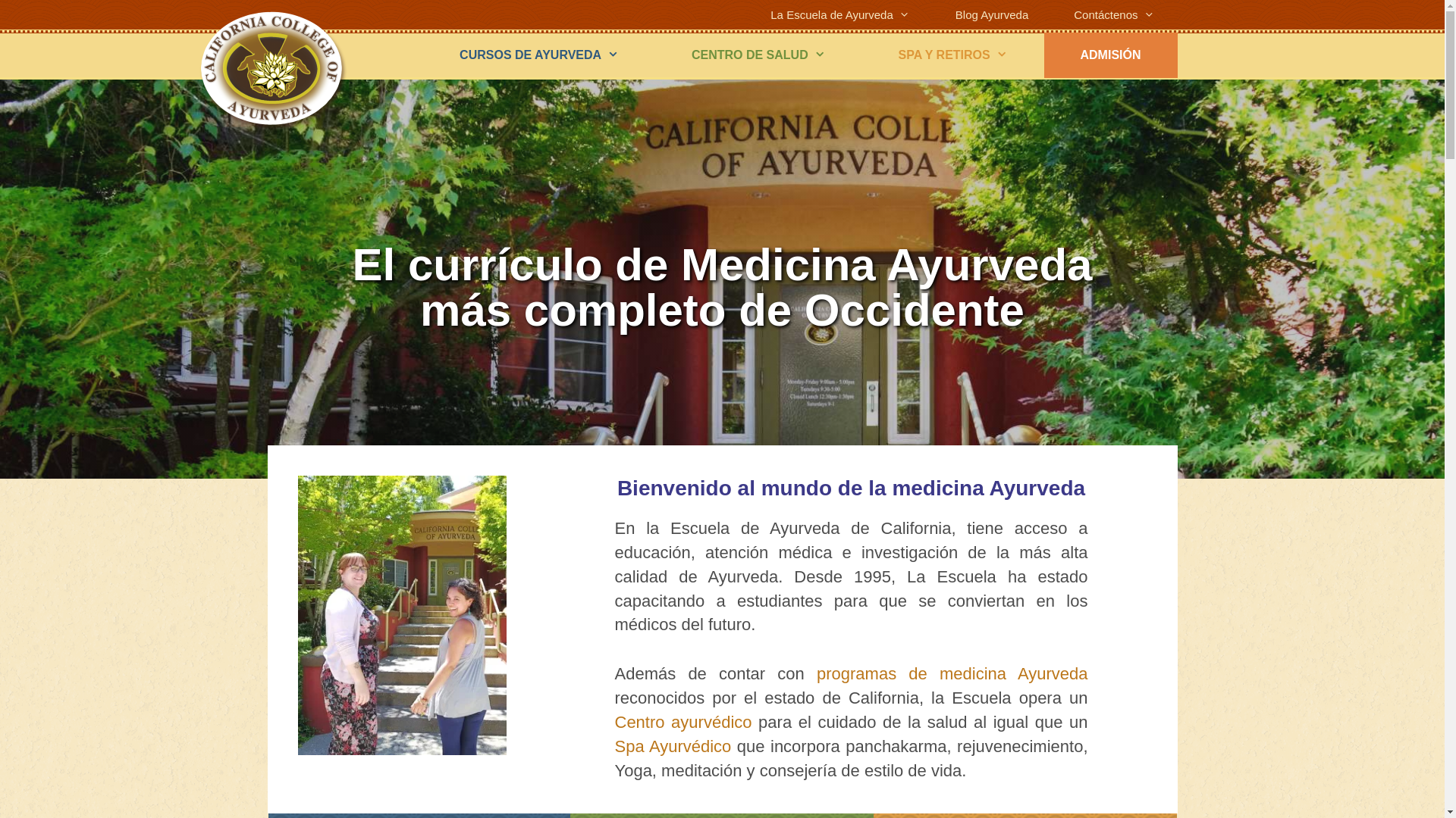 website screenshot of https://www.escuelaayurveda.com/