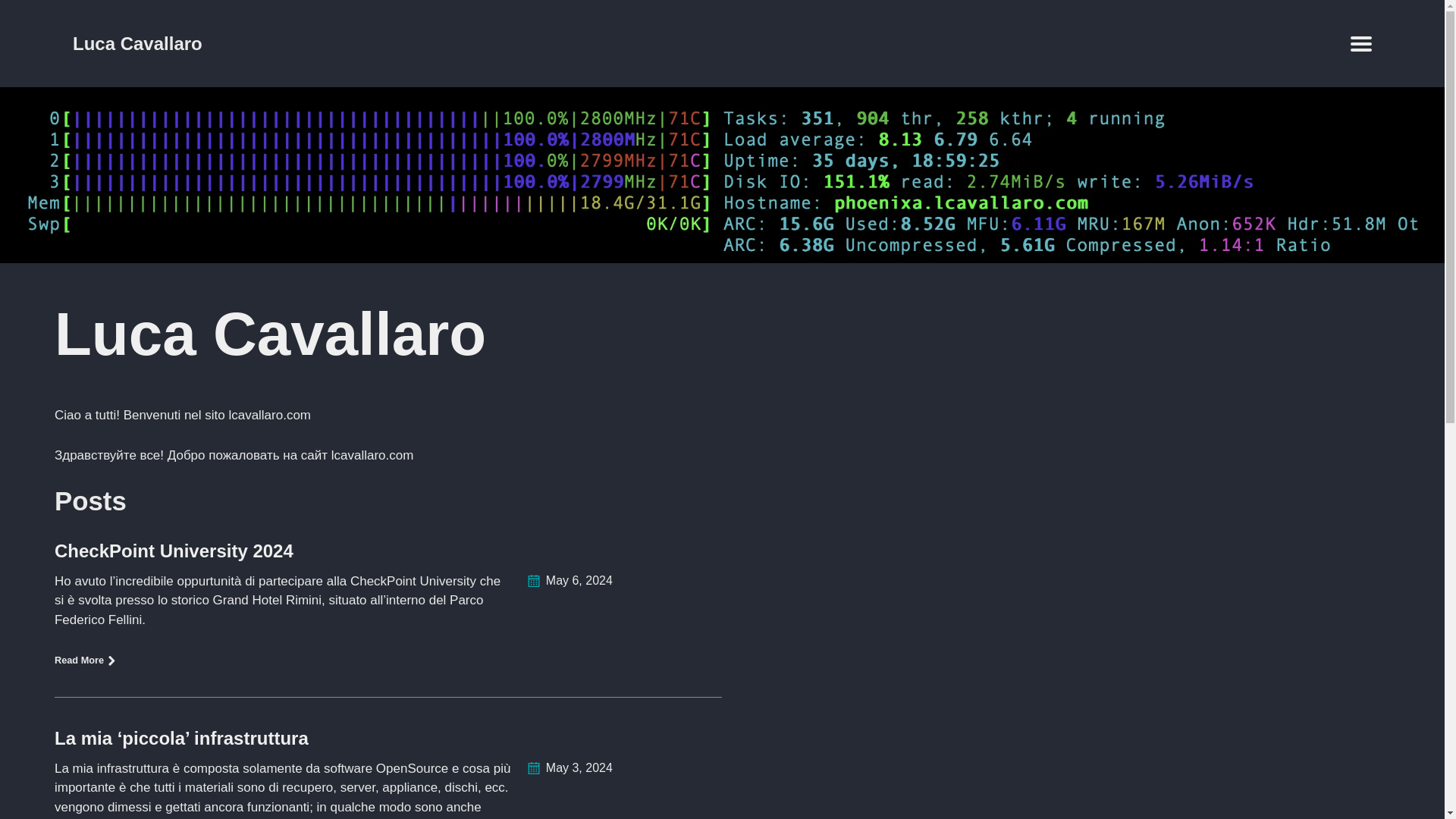 website screenshot of https://lcavallaro.pages.dev/