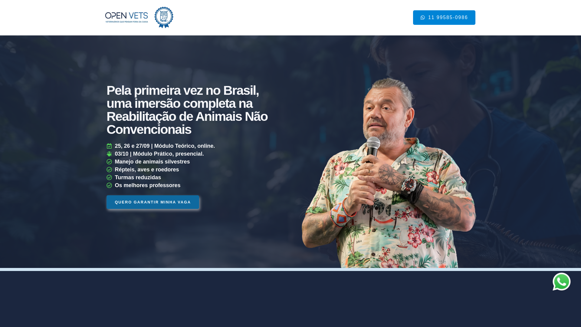 website screenshot of https://openvets.com.br/