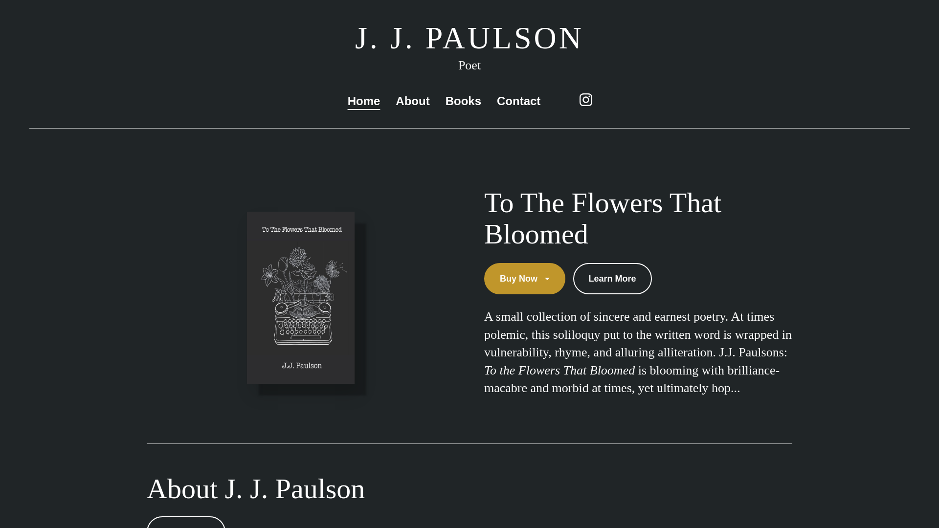 website screenshot of https://jjpaulsonbooks.com/