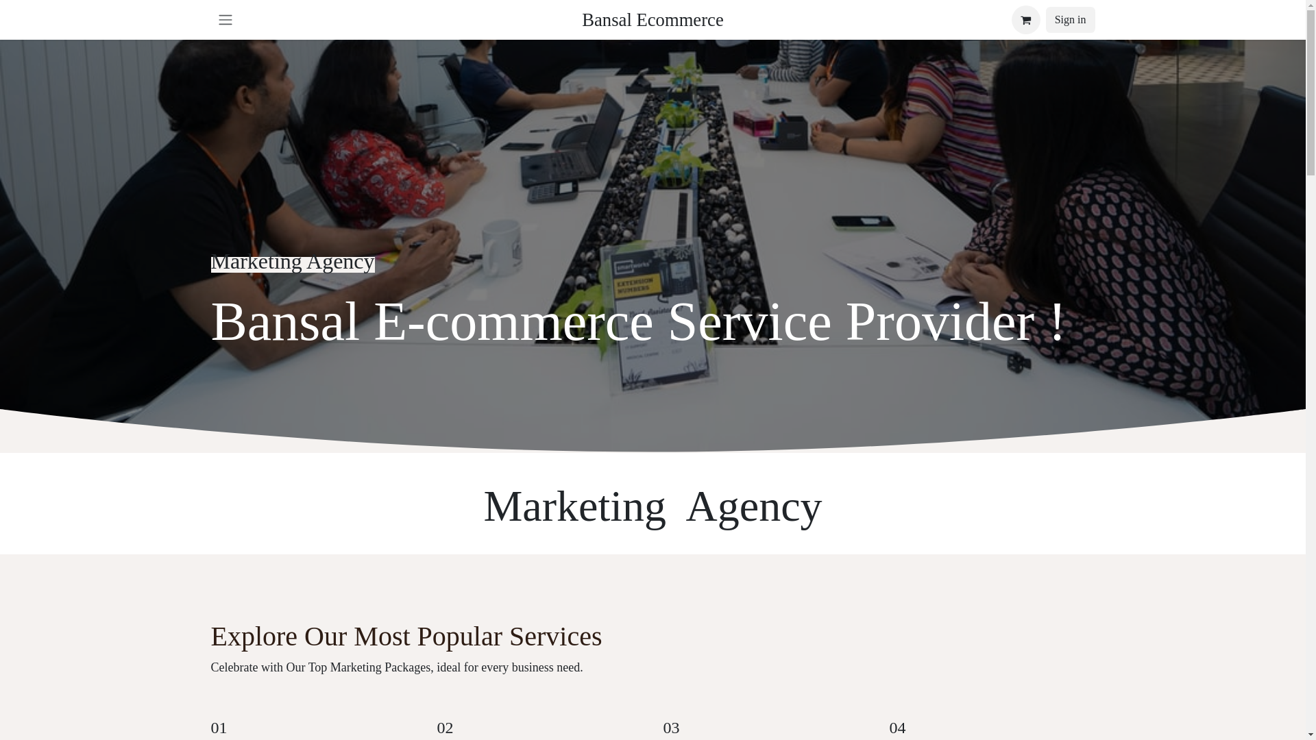 website screenshot of https://bansalecommerce.com/