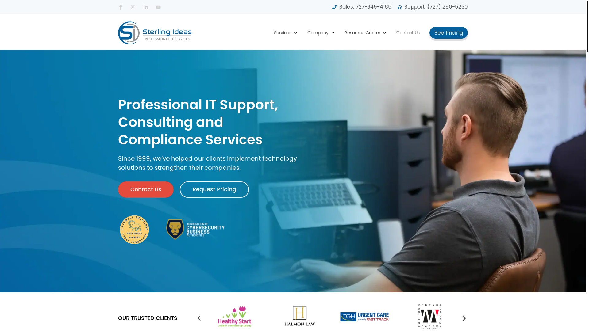 website screenshot of https://sterlingideasitmsp.net/
