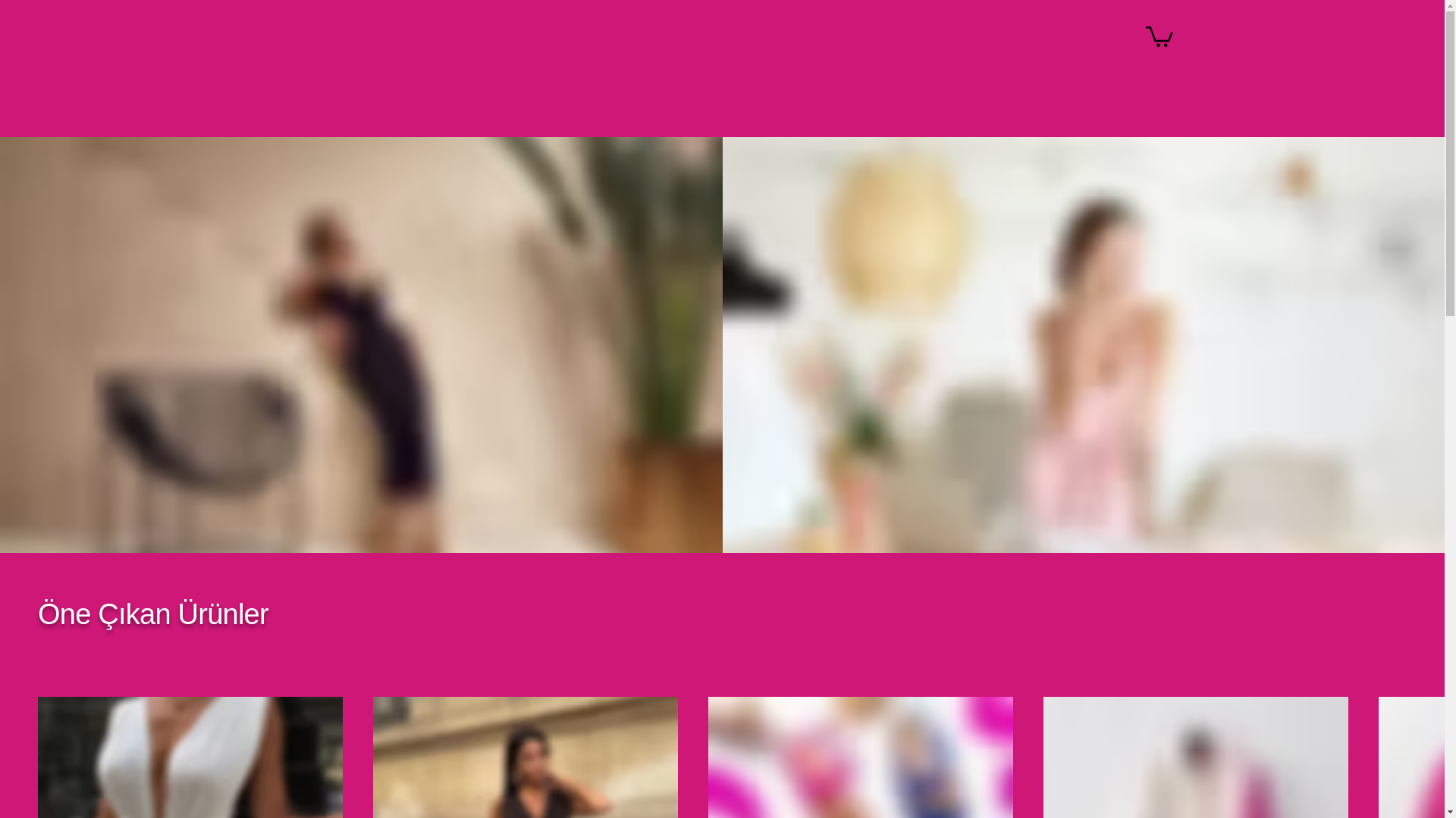 website screenshot of https://alisbutik.com/