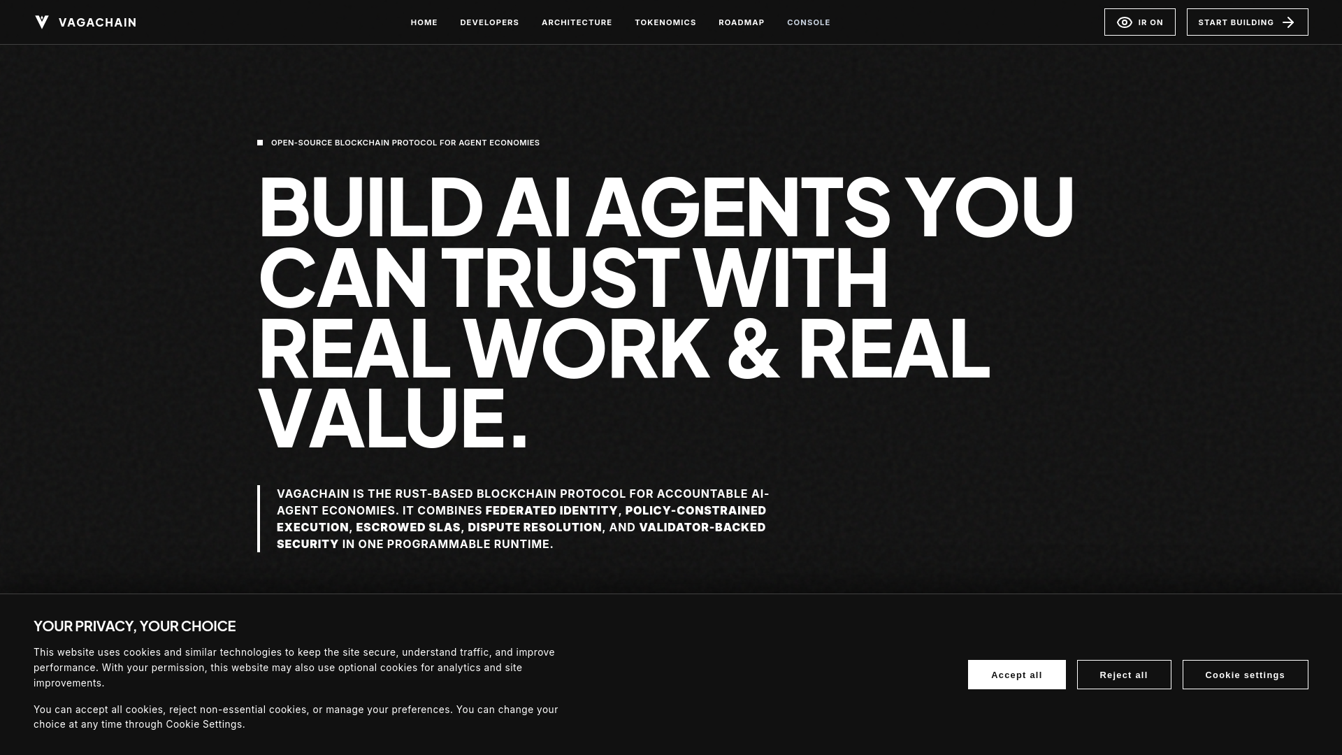 website screenshot of https://vagachain.xyz/