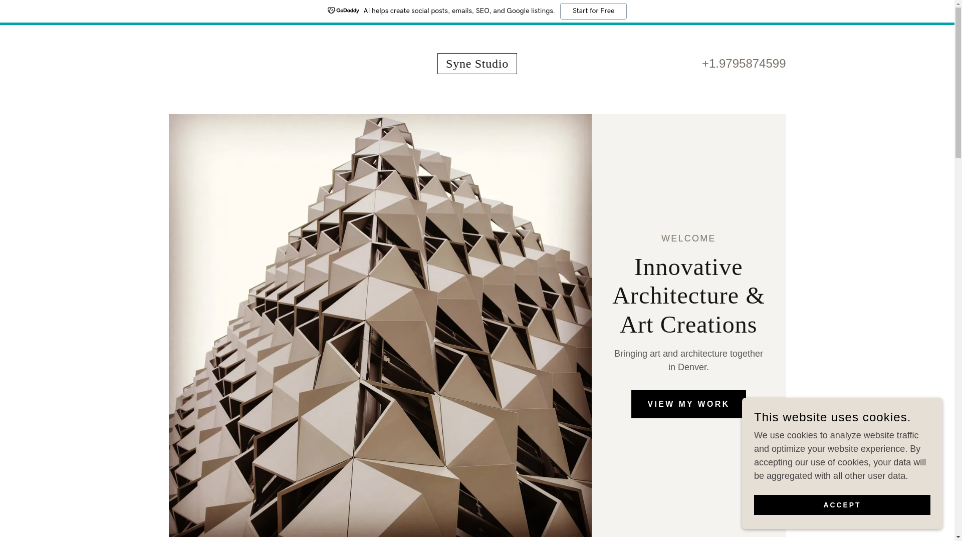 website screenshot of https://synestudiodesign.com/