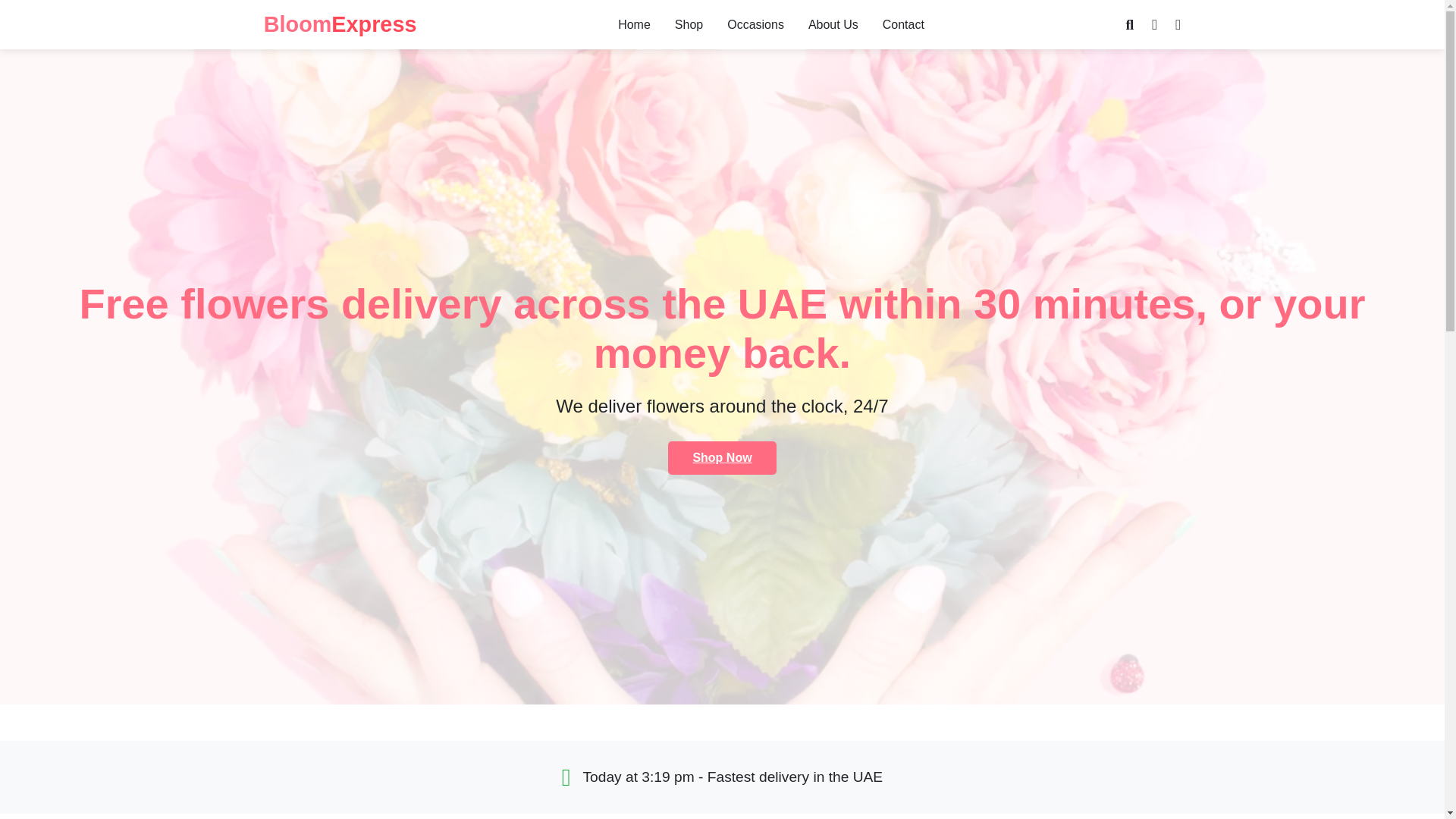 website screenshot of https://veqtina.site/