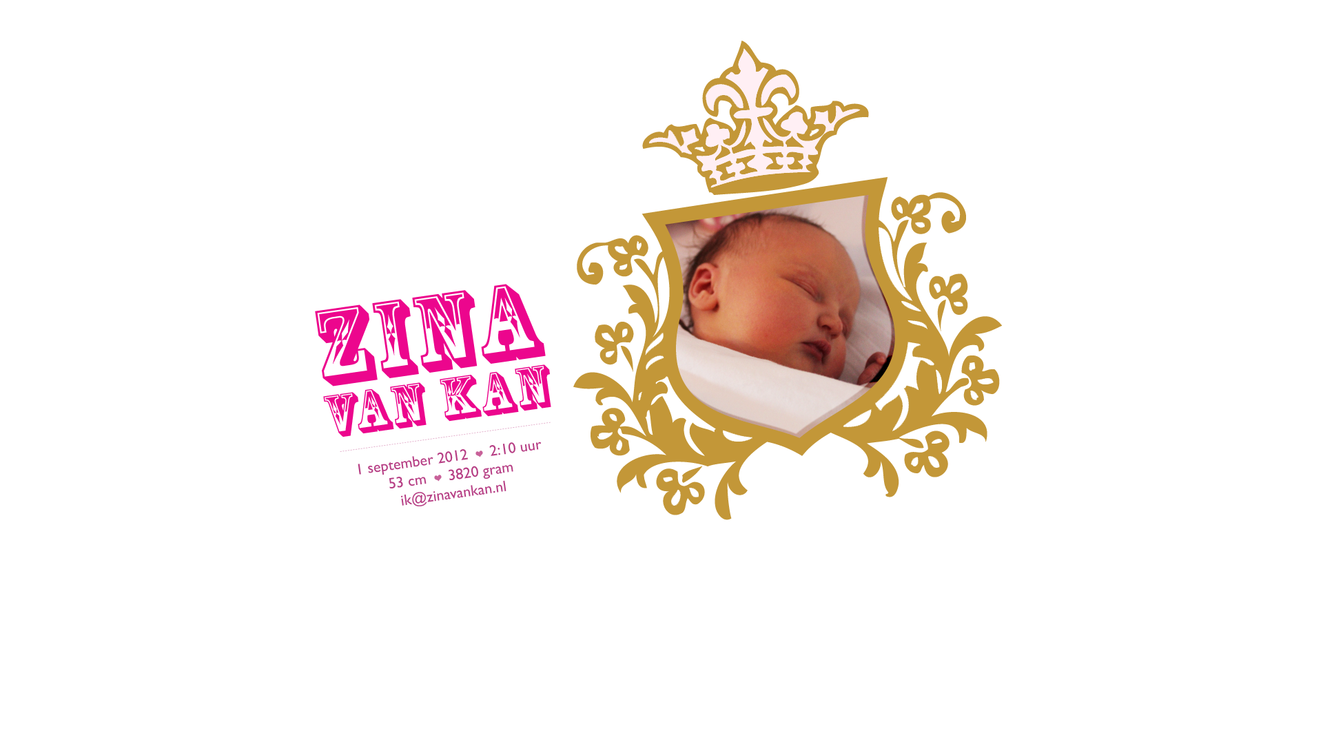 website screenshot of https://zinavankan.nl/