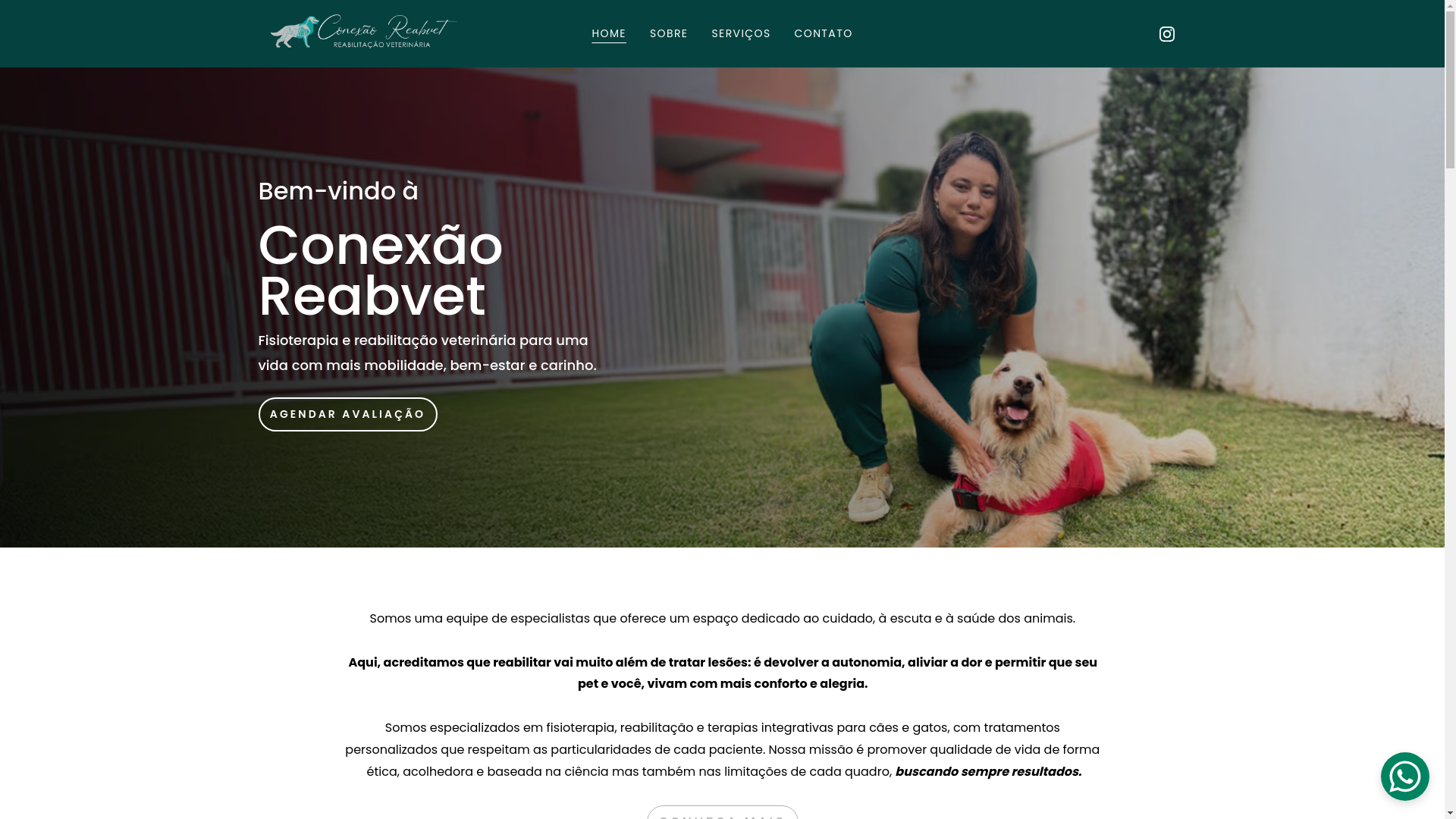website screenshot of https://conexaoreabvet.com.br/