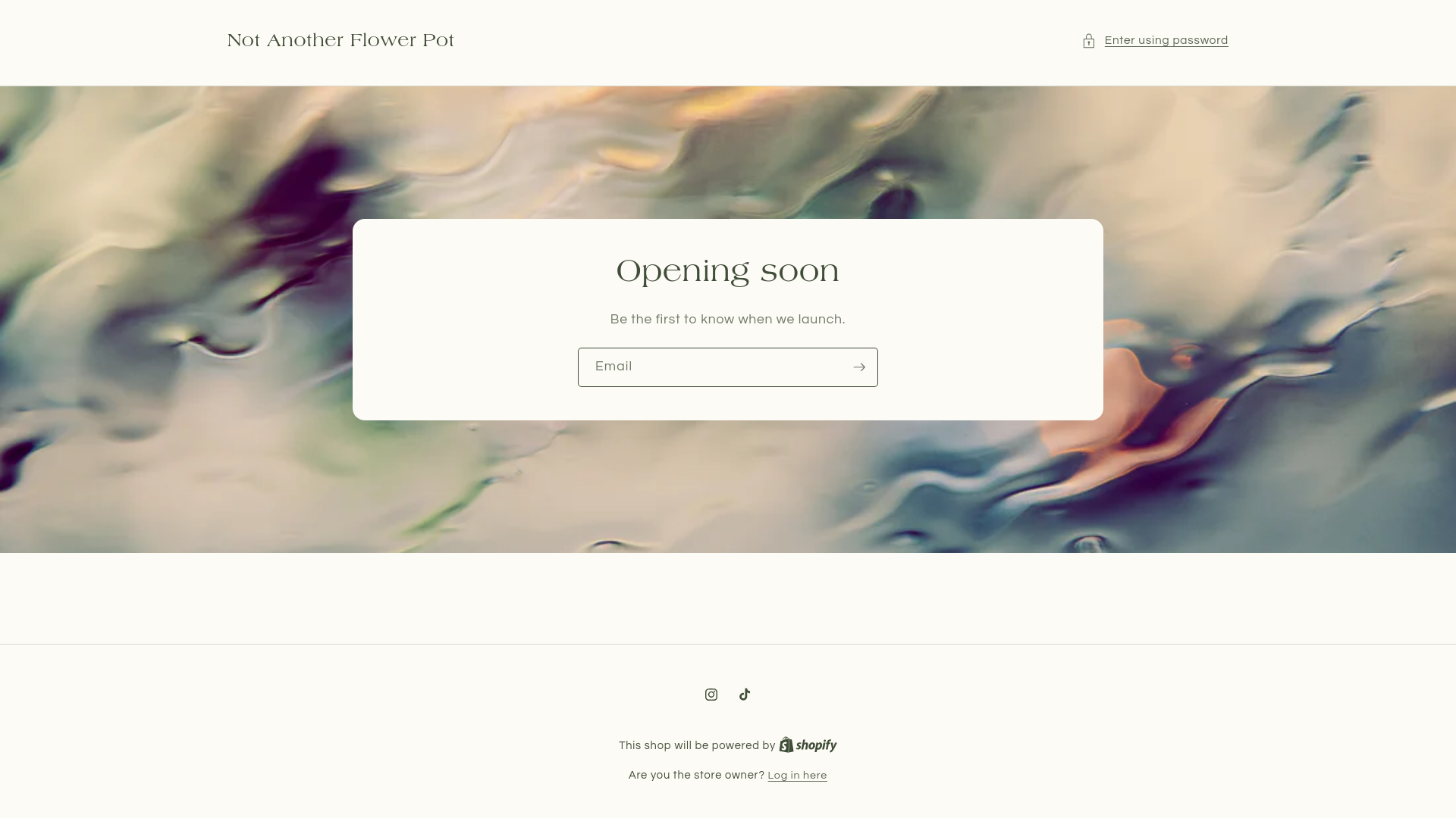 website screenshot of https://notanotherflowerpot.com/