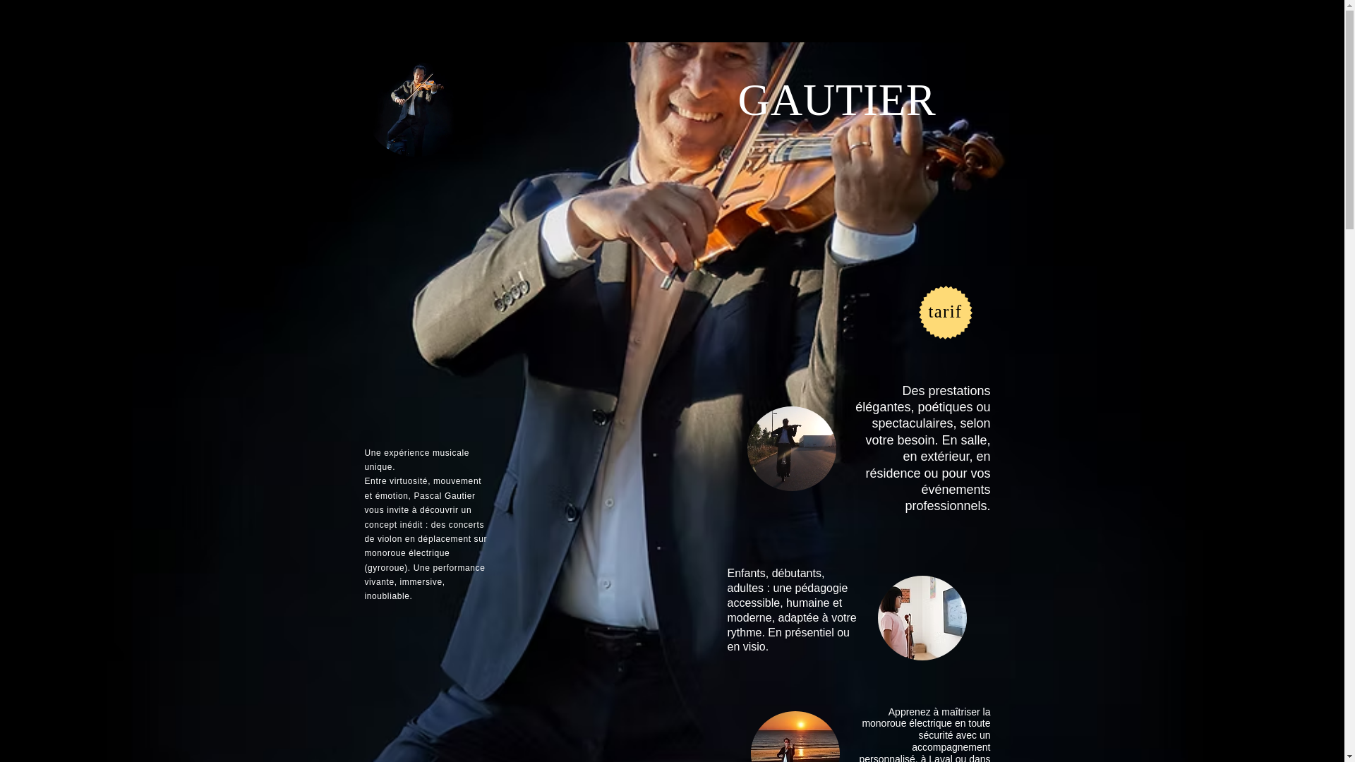 website screenshot of https://pascalgautierviolon.com/