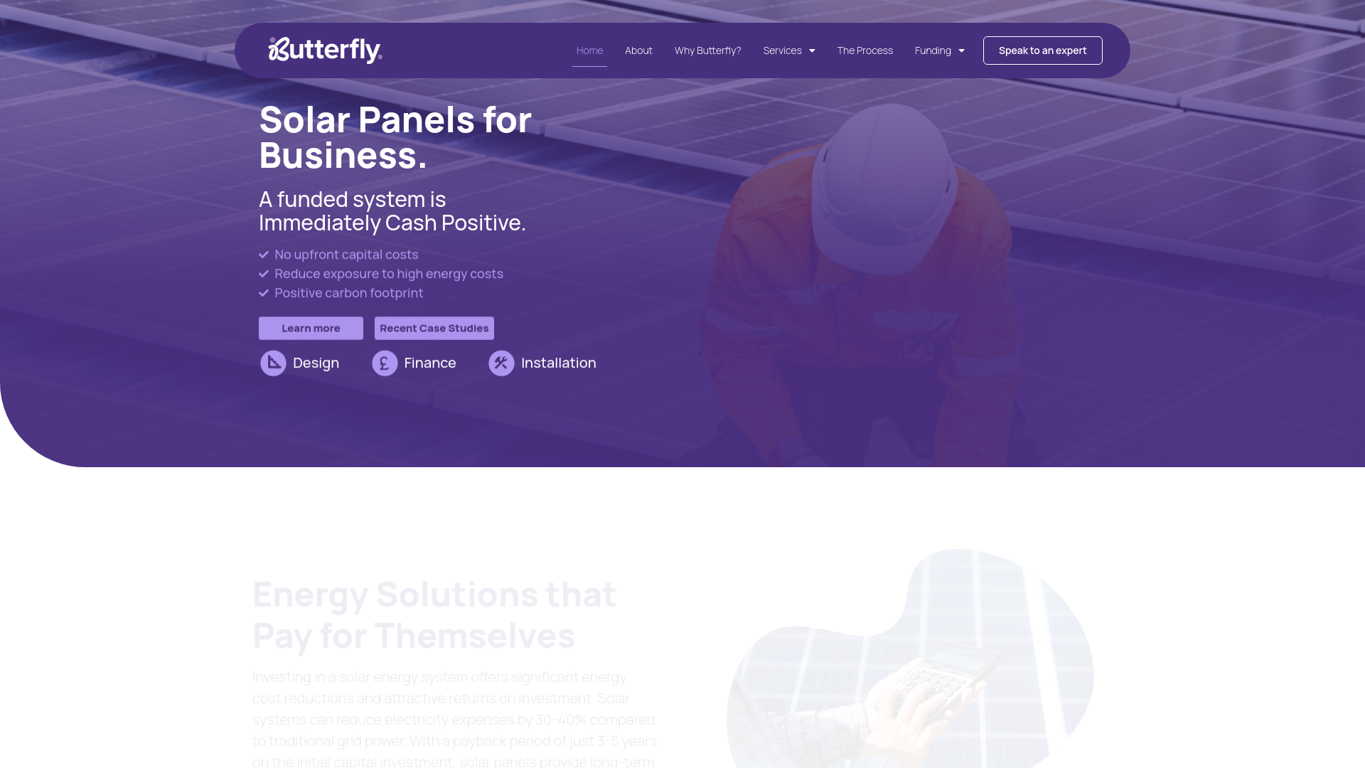 website screenshot of https://frombutterflyeco.com/