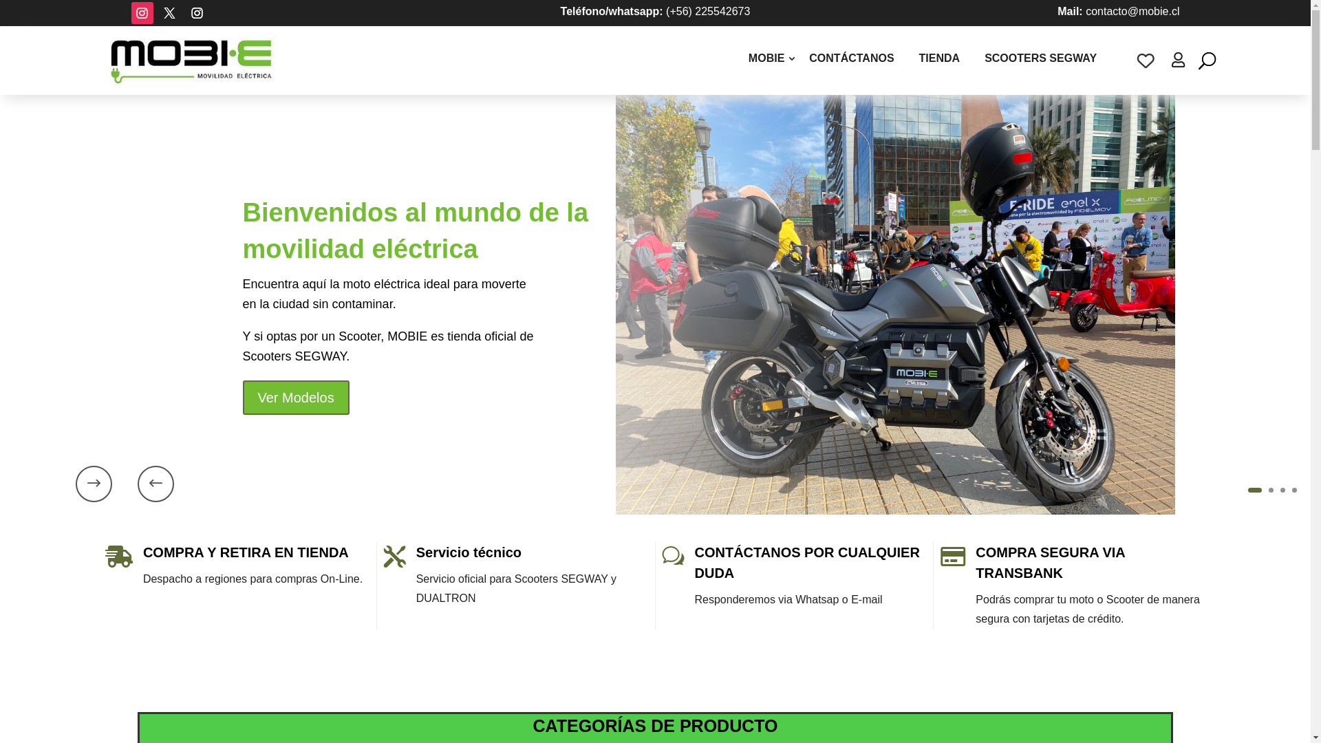 website screenshot of https://scooterservice.cl/