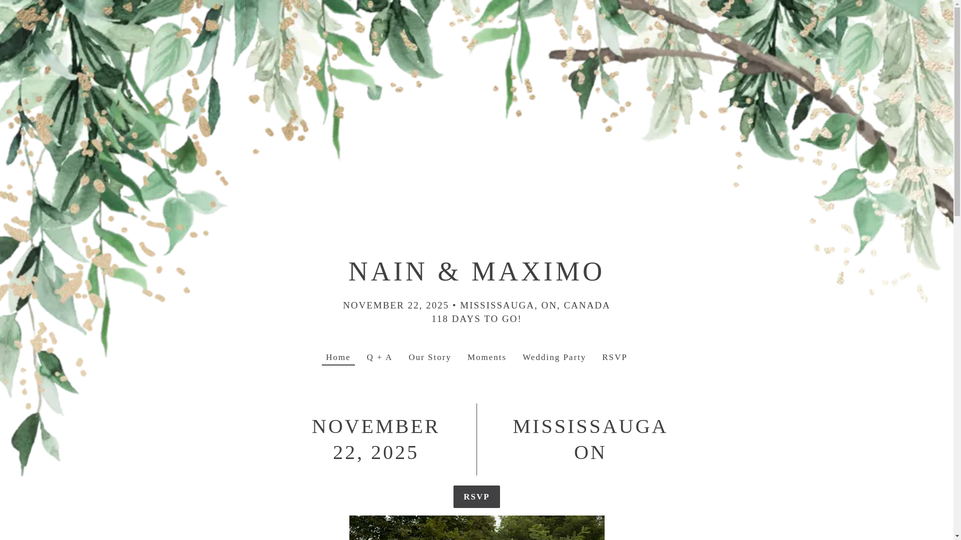 website screenshot of https://nainandmaximo.com/
