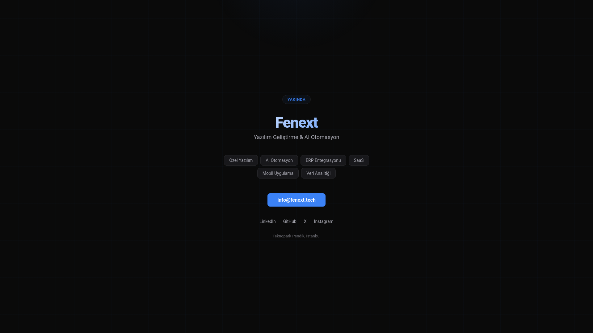 website screenshot of https://fenext.online