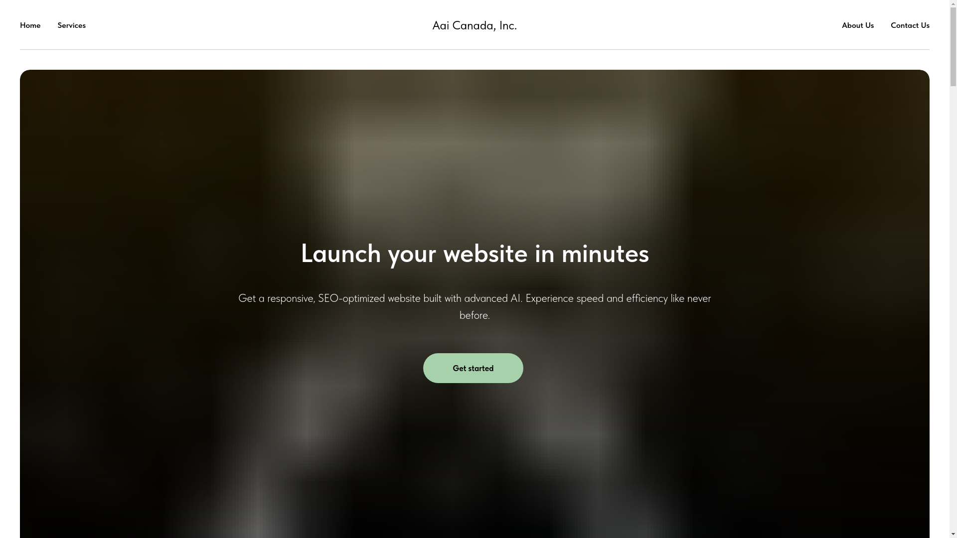 website screenshot of https://aaicanadainc.com/