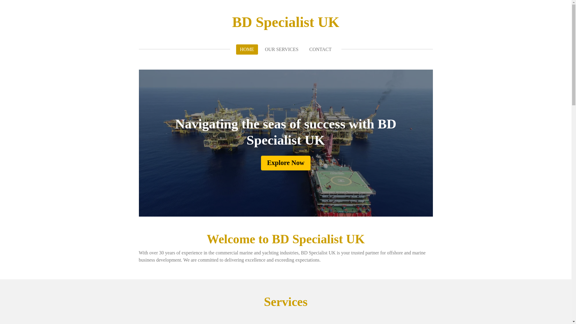 website screenshot of https://bdspecialistuk.com/