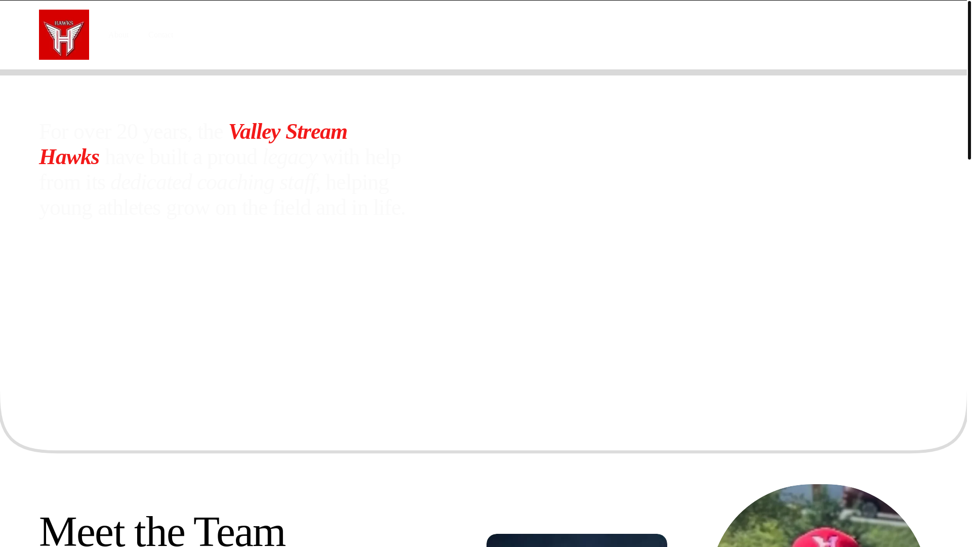 website screenshot of https://vsnyhawks.org/