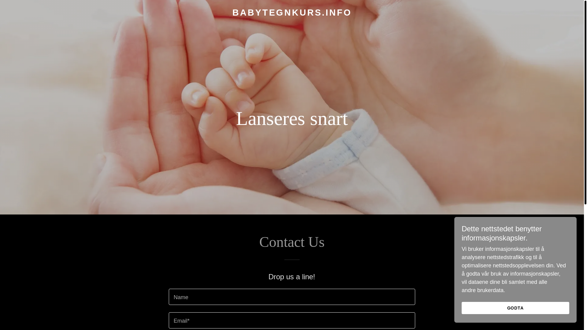 website screenshot of https://babytegnkurs.info/