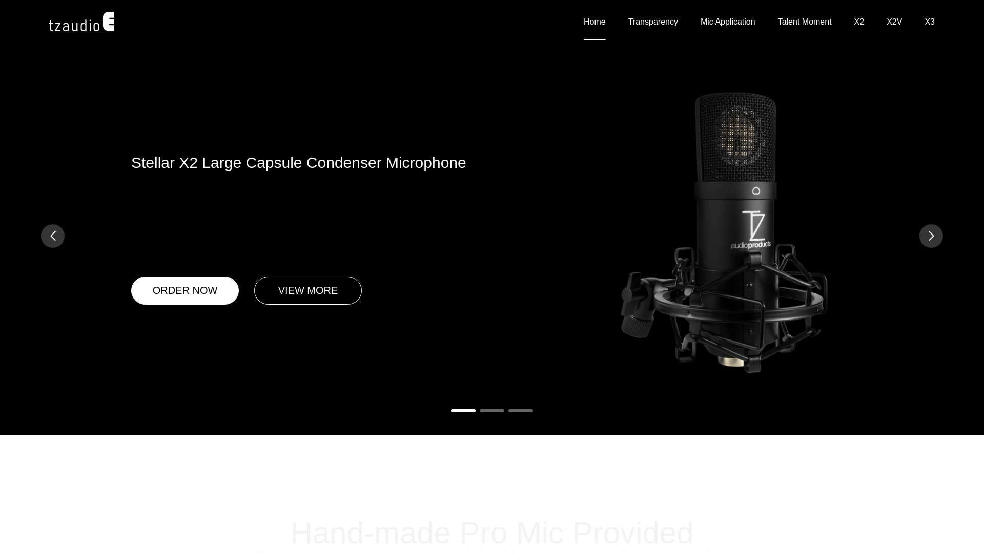 website screenshot of https://tzaudioc.cc/