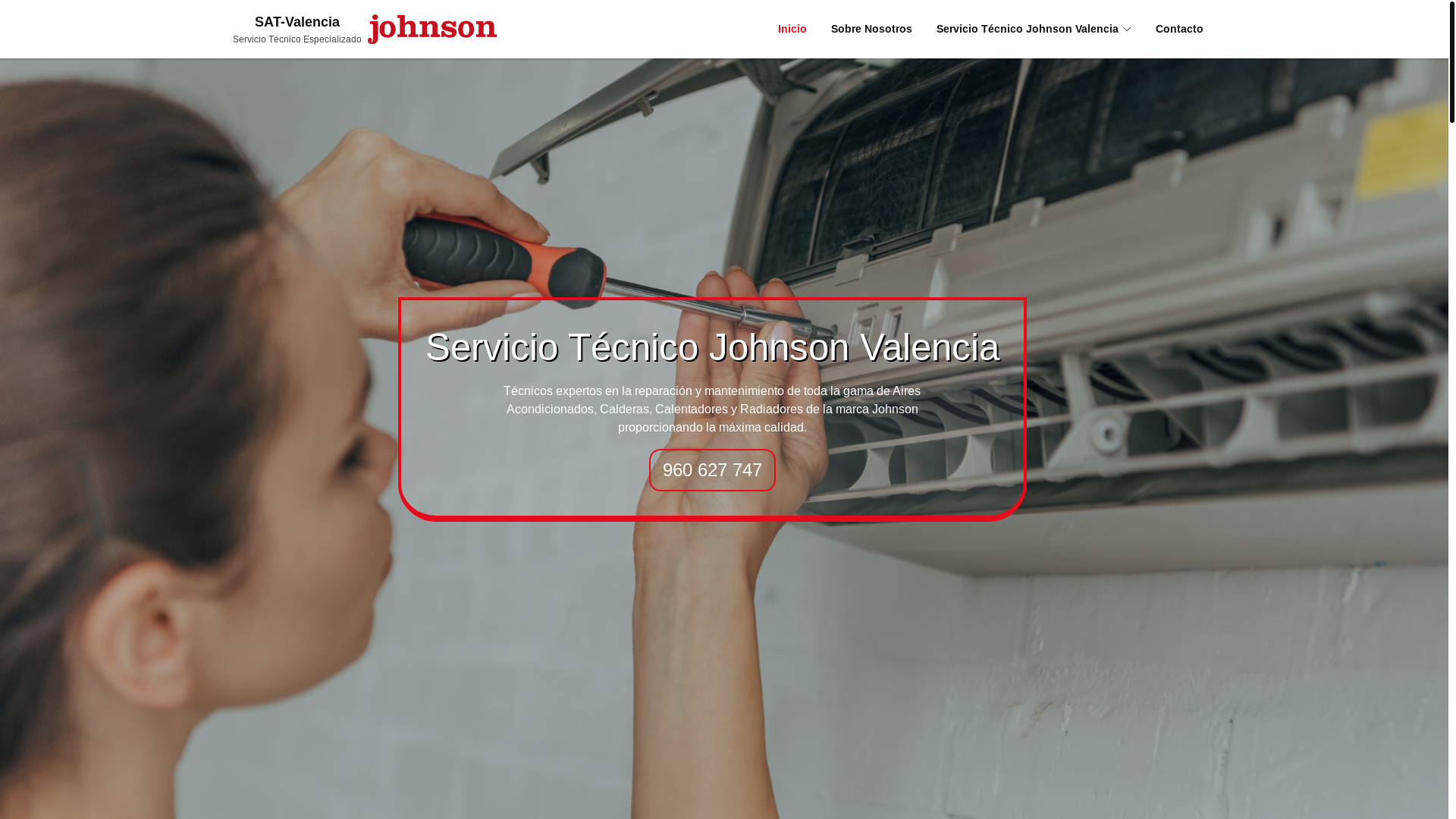 website screenshot of https://serviciotecnicovalencia-johnsat.com.es/